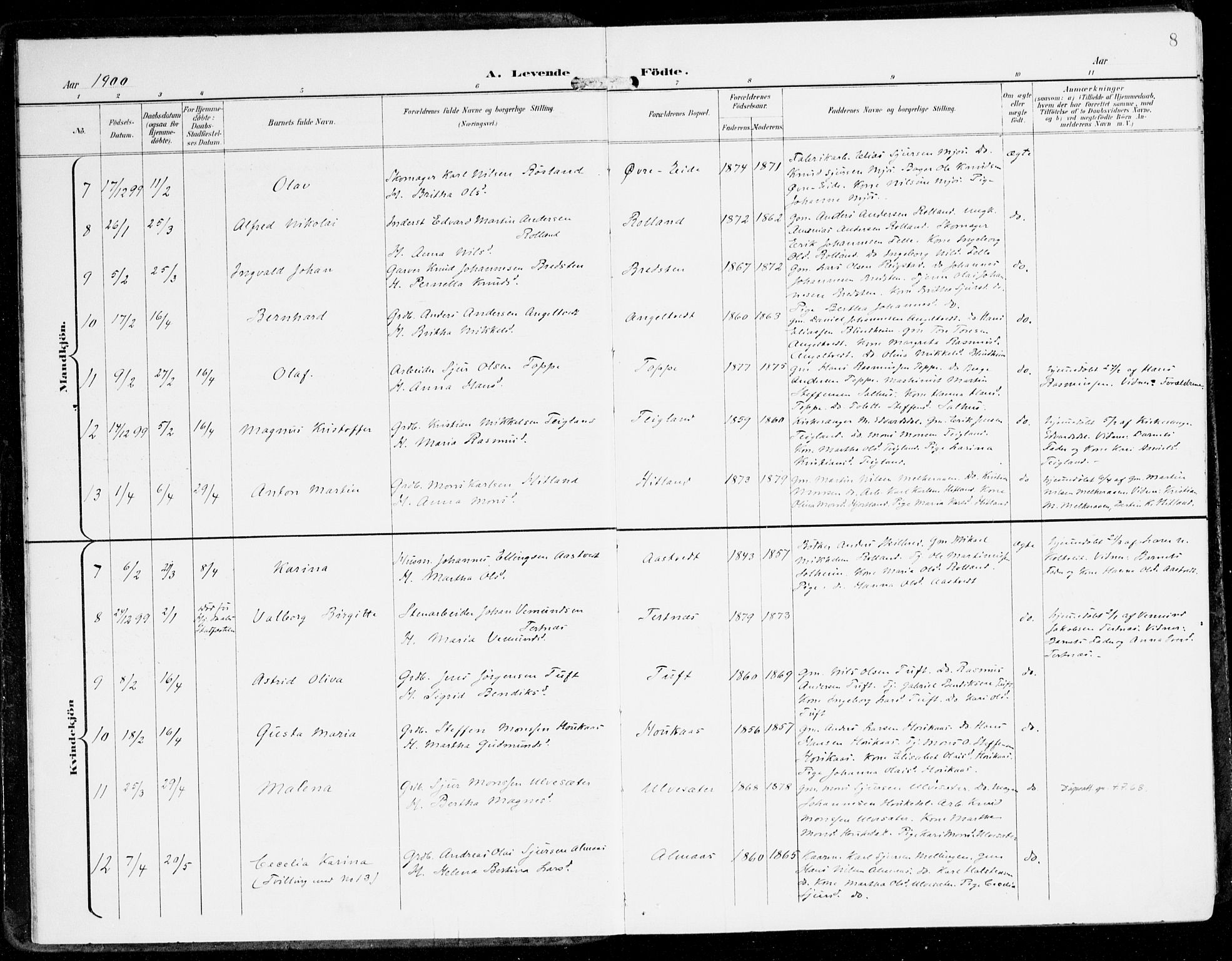 Hamre sokneprestembete, AV/SAB-A-75501/H/Ha/Haa/Haad/L0002: Parish register (official) no. D 2, 1899-1916, p. 8