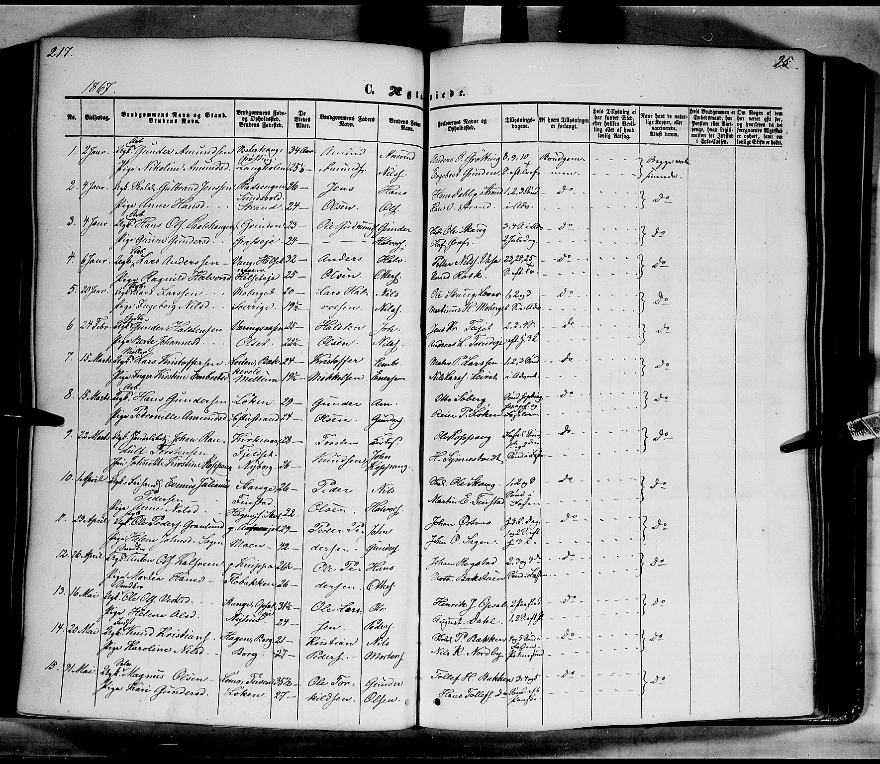 Elverum prestekontor, SAH/PREST-044/H/Ha/Haa/L0010: Parish register (official) no. 10, 1857-1868, p. 217