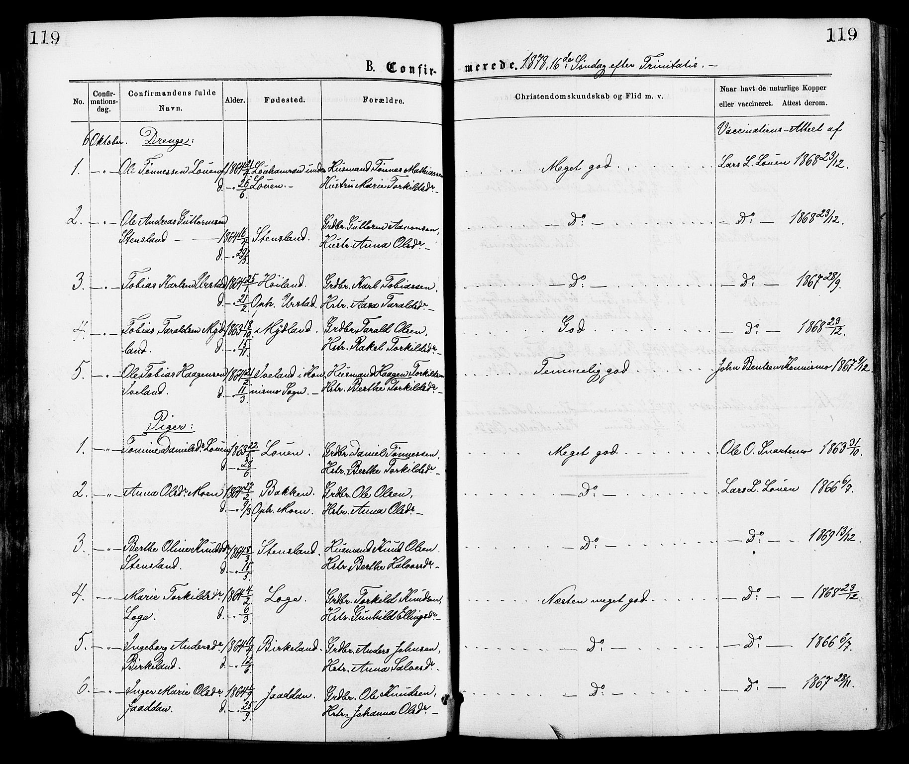 Hægebostad sokneprestkontor, AV/SAK-1111-0024/F/Fa/Faa/L0005: Parish register (official) no. A 5, 1864-1886, p. 119