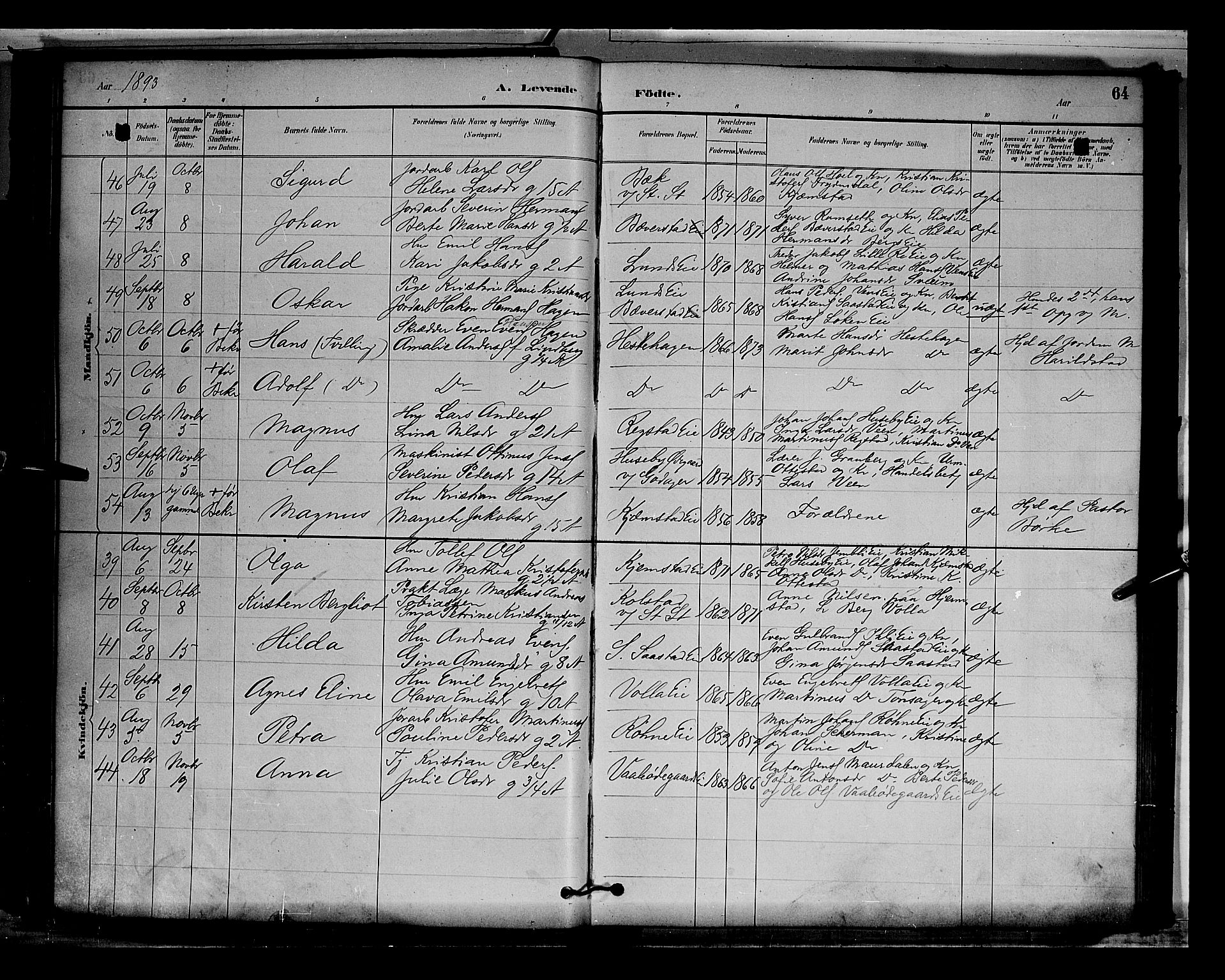 Stange prestekontor, AV/SAH-PREST-002/L/L0009: Parish register (copy) no. 9, 1883-1899, p. 64