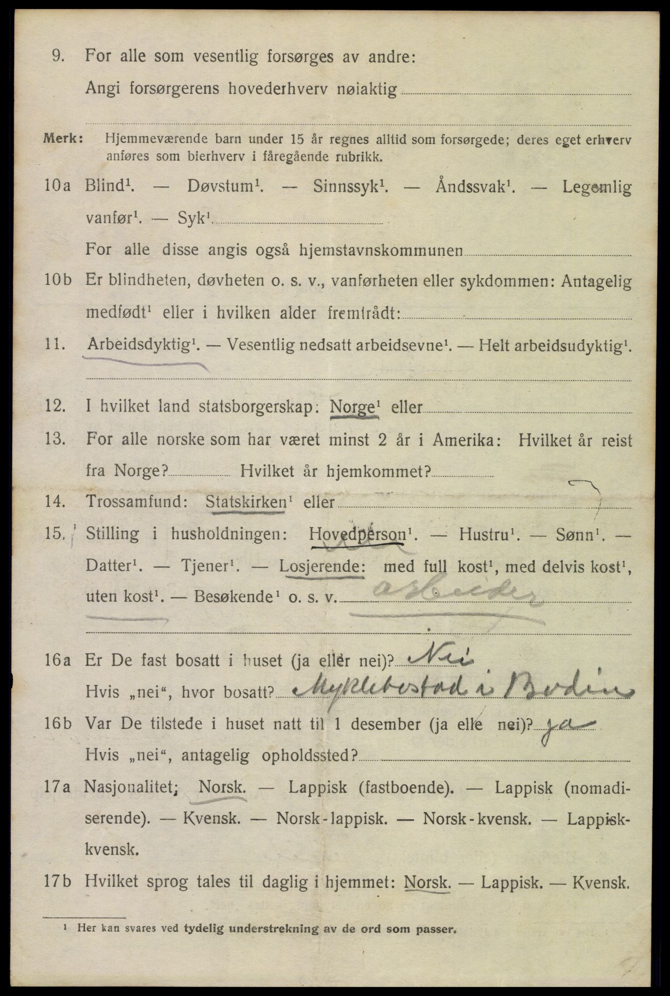 SAT, 1920 census for Bodø, 1920, p. 13322