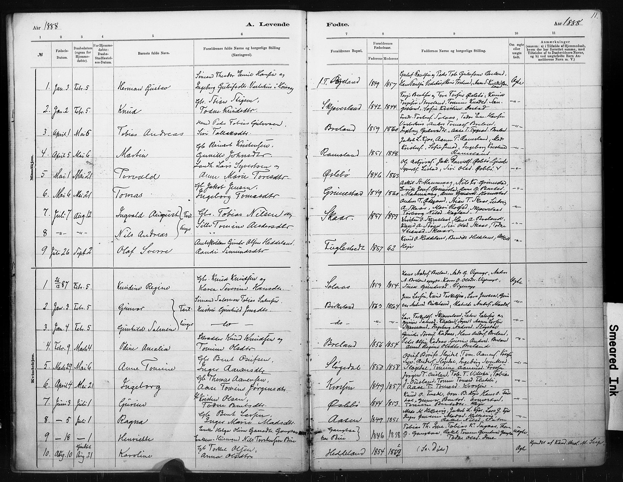 Holum sokneprestkontor, SAK/1111-0022/F/Fa/Fac/L0004: Parish register (official) no. A 4, 1884-1907, p. 11