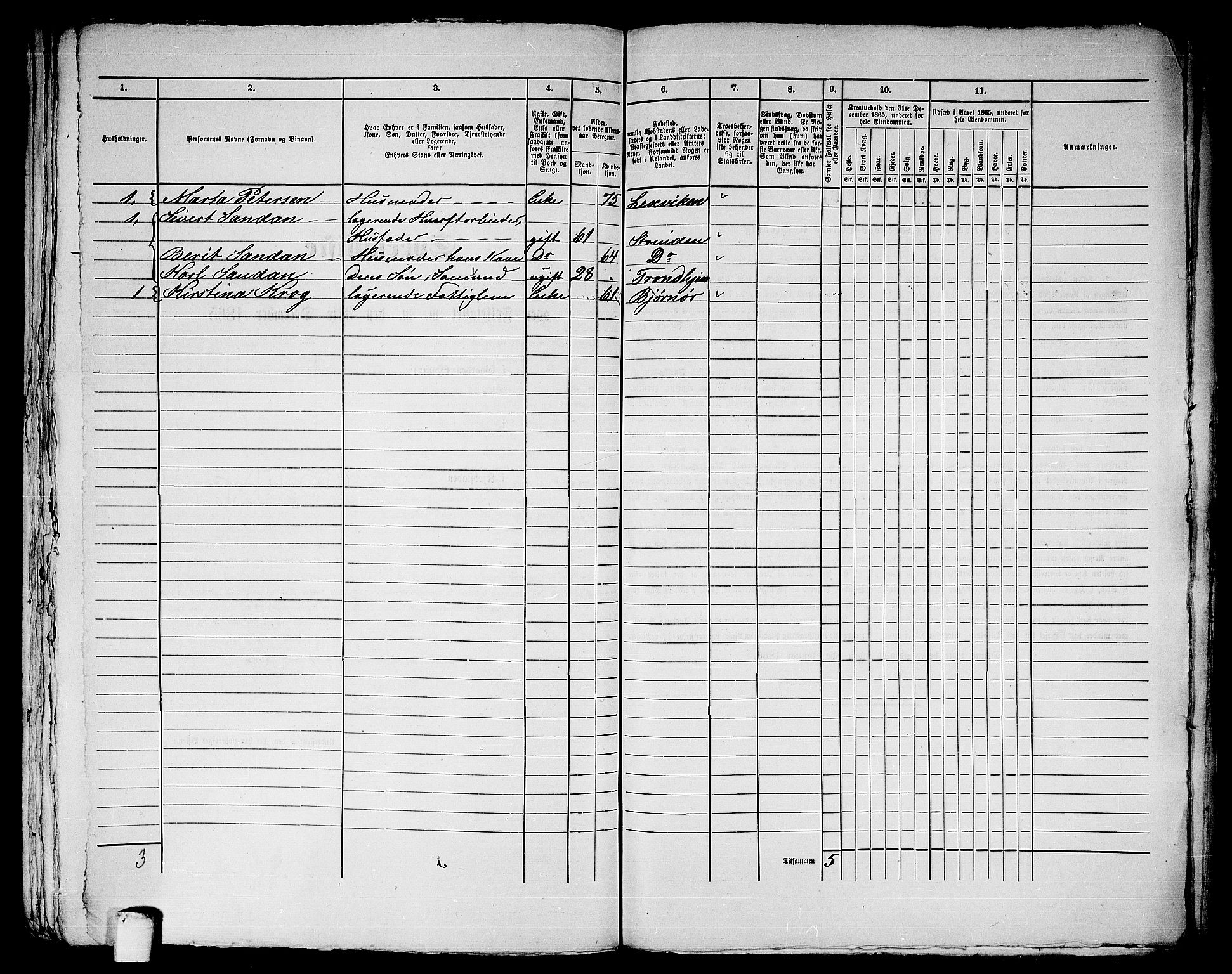 RA, 1865 census for Trondheim, 1865, p. 3084