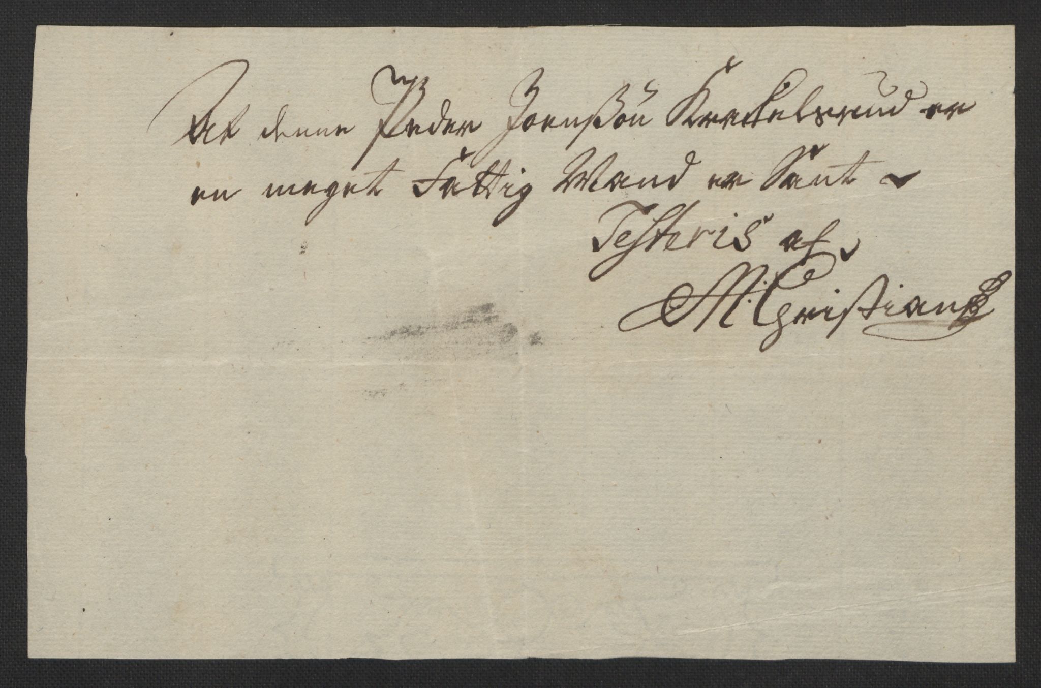 Stattholderembetet 1572-1771, AV/RA-EA-2870/Ef/L0106: Brev fra embetsmenn og andre, 1730-1732, p. 248