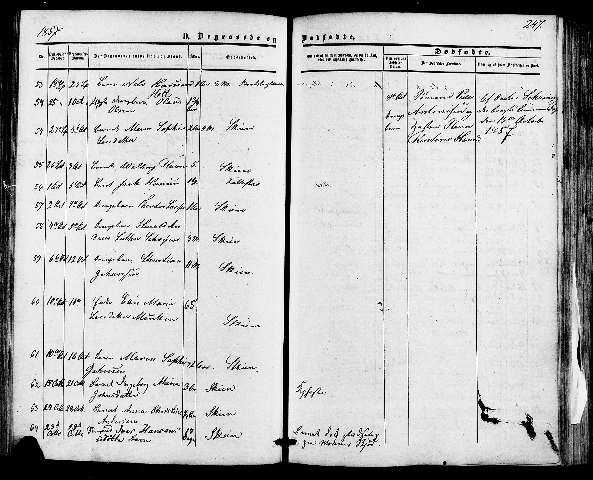 Skien kirkebøker, SAKO/A-302/F/Fa/L0007: Parish register (official) no. 7, 1856-1865, p. 247