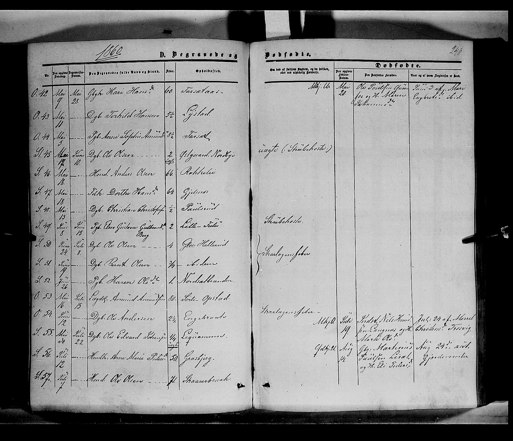 Sør-Odal prestekontor, SAH/PREST-030/H/Ha/Haa/L0002: Parish register (official) no. 2, 1859-1863, p. 246