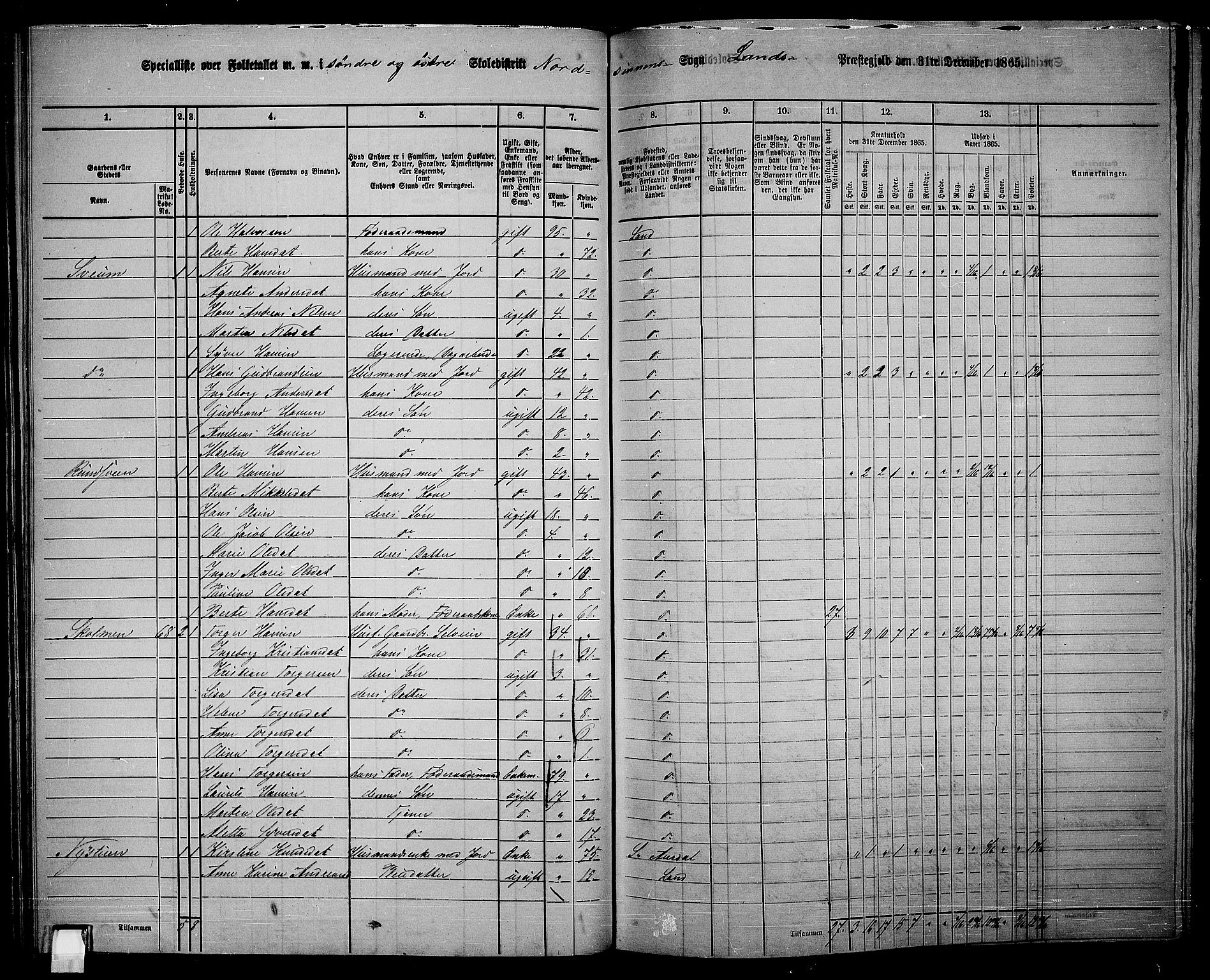 RA, 1865 census for Land, 1865, p. 69