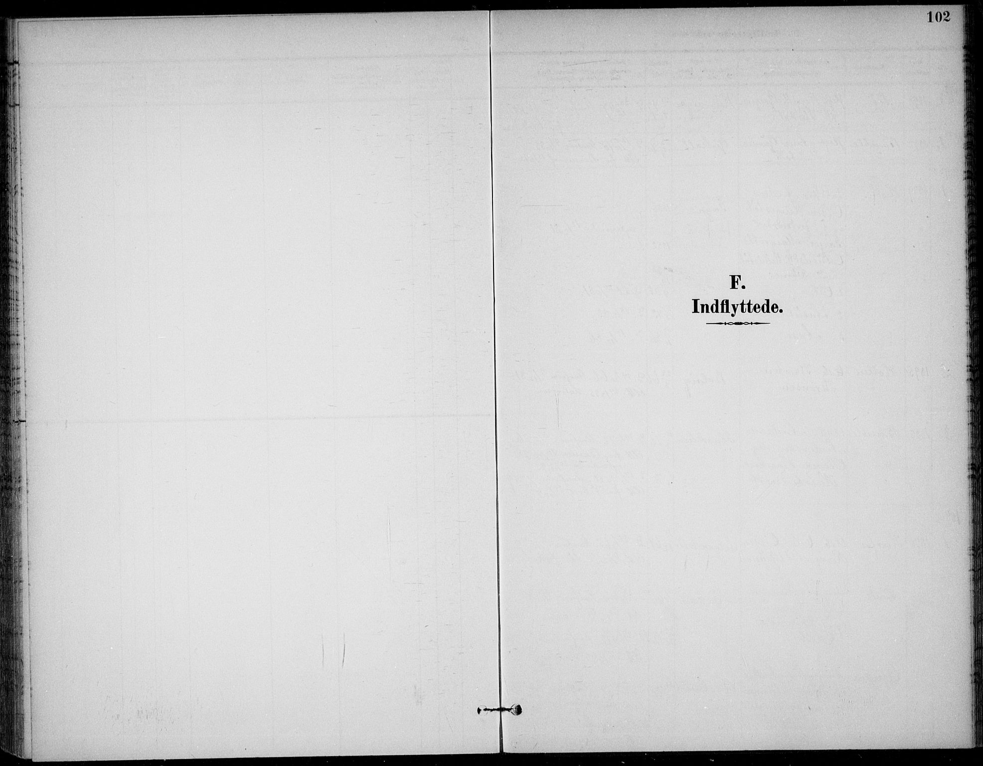 Solum kirkebøker, SAKO/A-306/F/Fc/L0002: Parish register (official) no. III 2, 1892-1906, p. 102