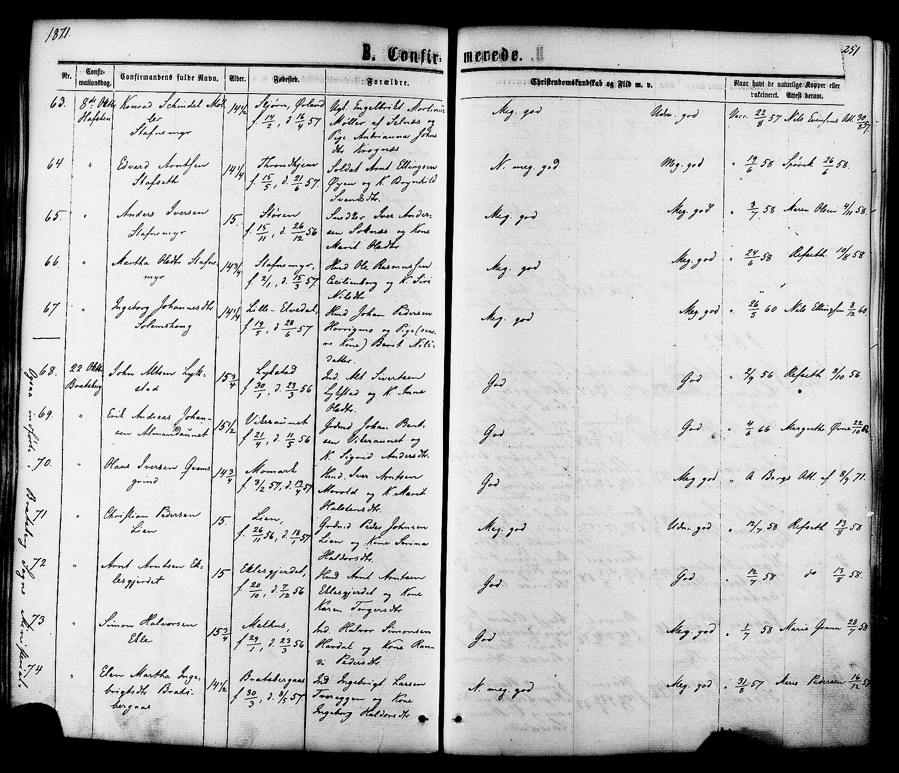 Ministerialprotokoller, klokkerbøker og fødselsregistre - Sør-Trøndelag, AV/SAT-A-1456/606/L0293: Parish register (official) no. 606A08, 1866-1877, p. 251