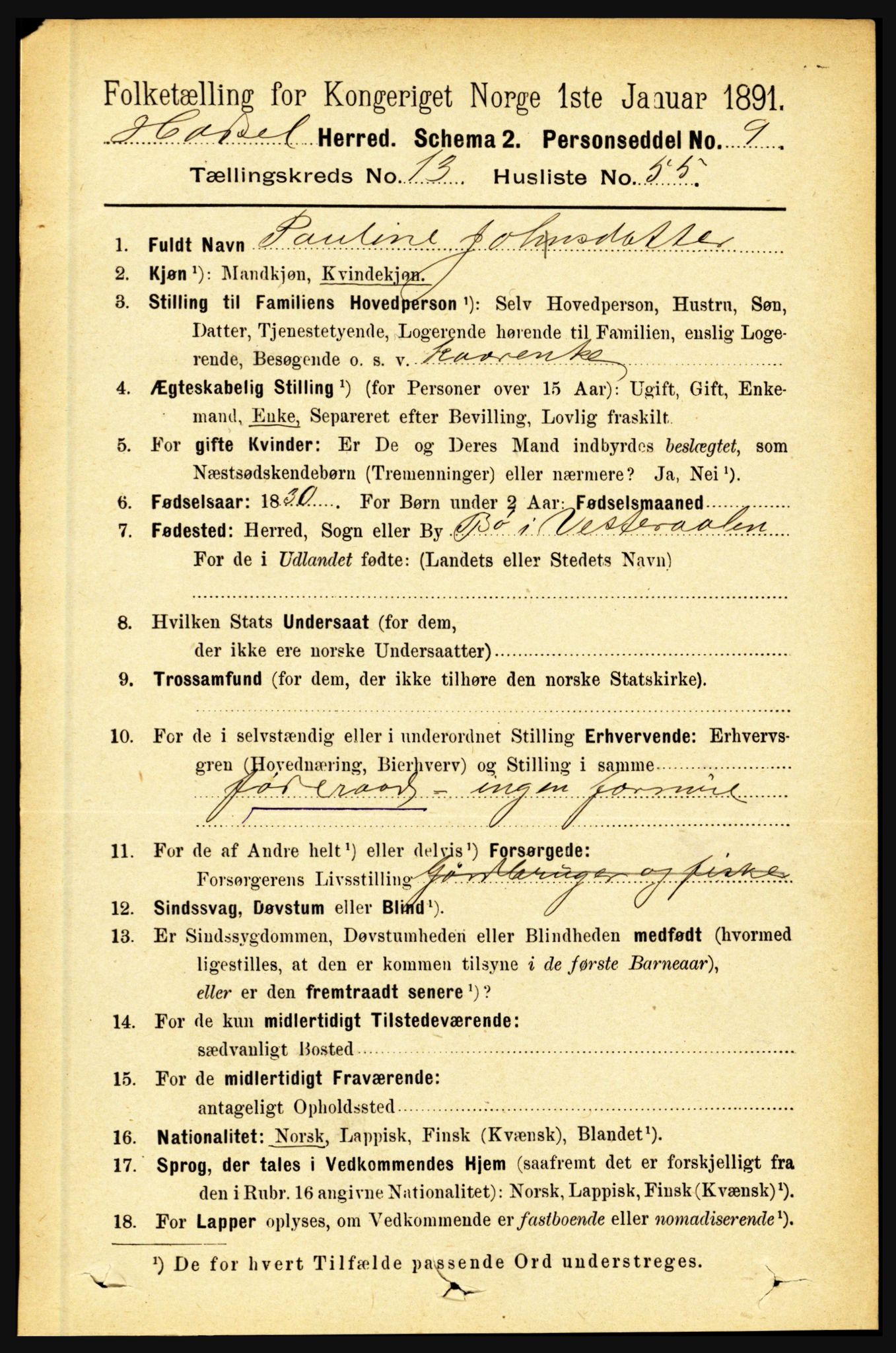 RA, 1891 census for 1866 Hadsel, 1891, p. 6249