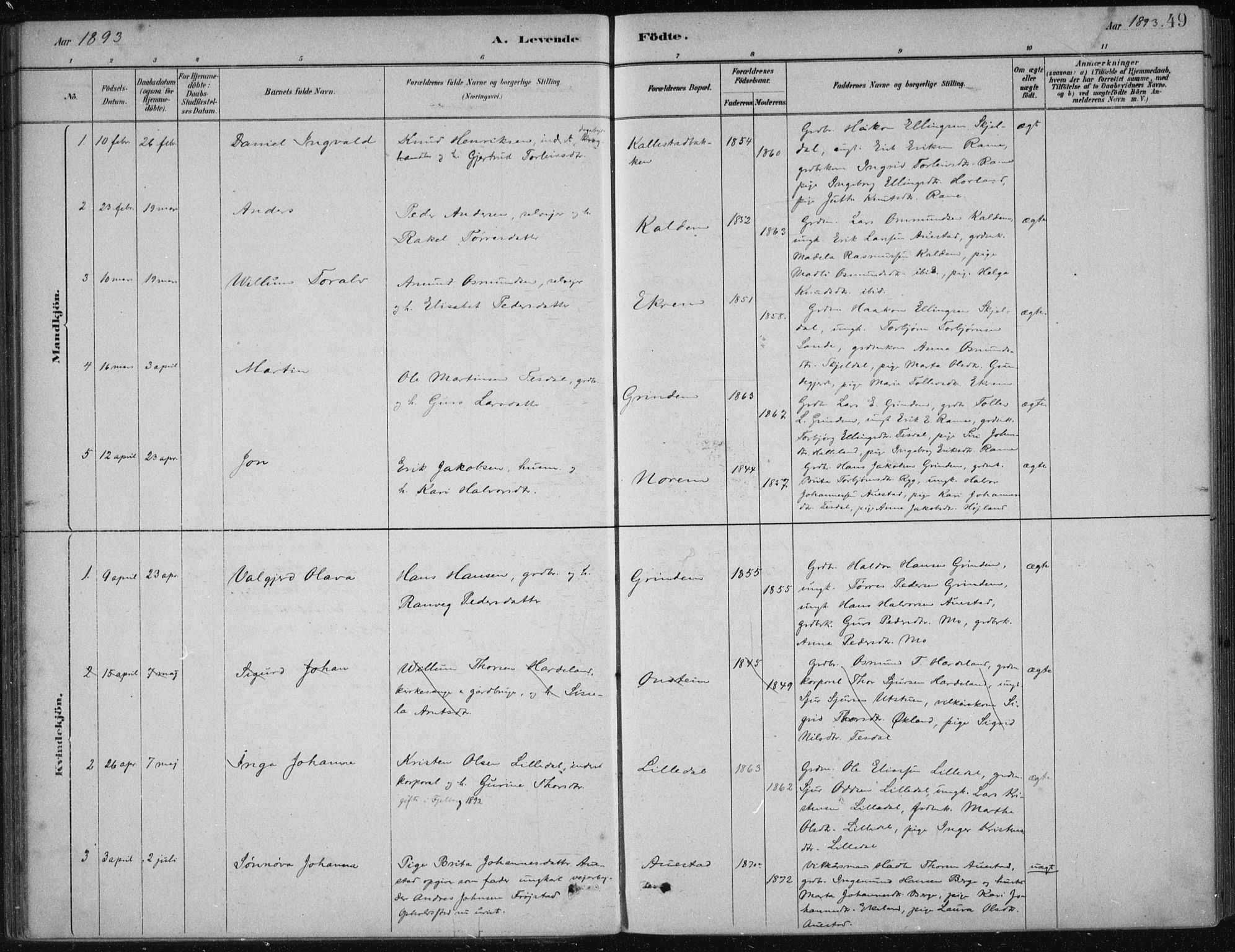 Etne sokneprestembete, SAB/A-75001/H/Haa: Parish register (official) no. D  1, 1879-1919, p. 49
