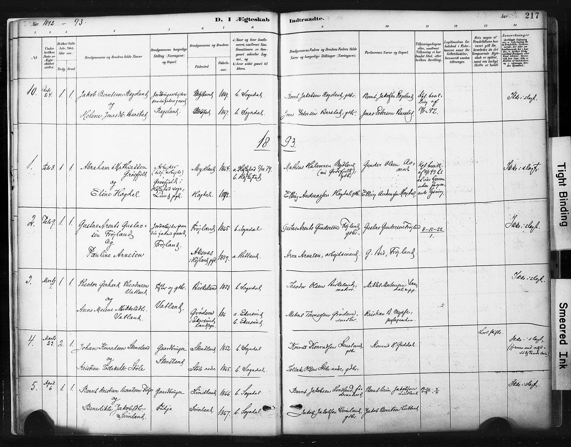 Sokndal sokneprestkontor, AV/SAST-A-101808: Parish register (official) no. A 11.2, 1887-1905, p. 217