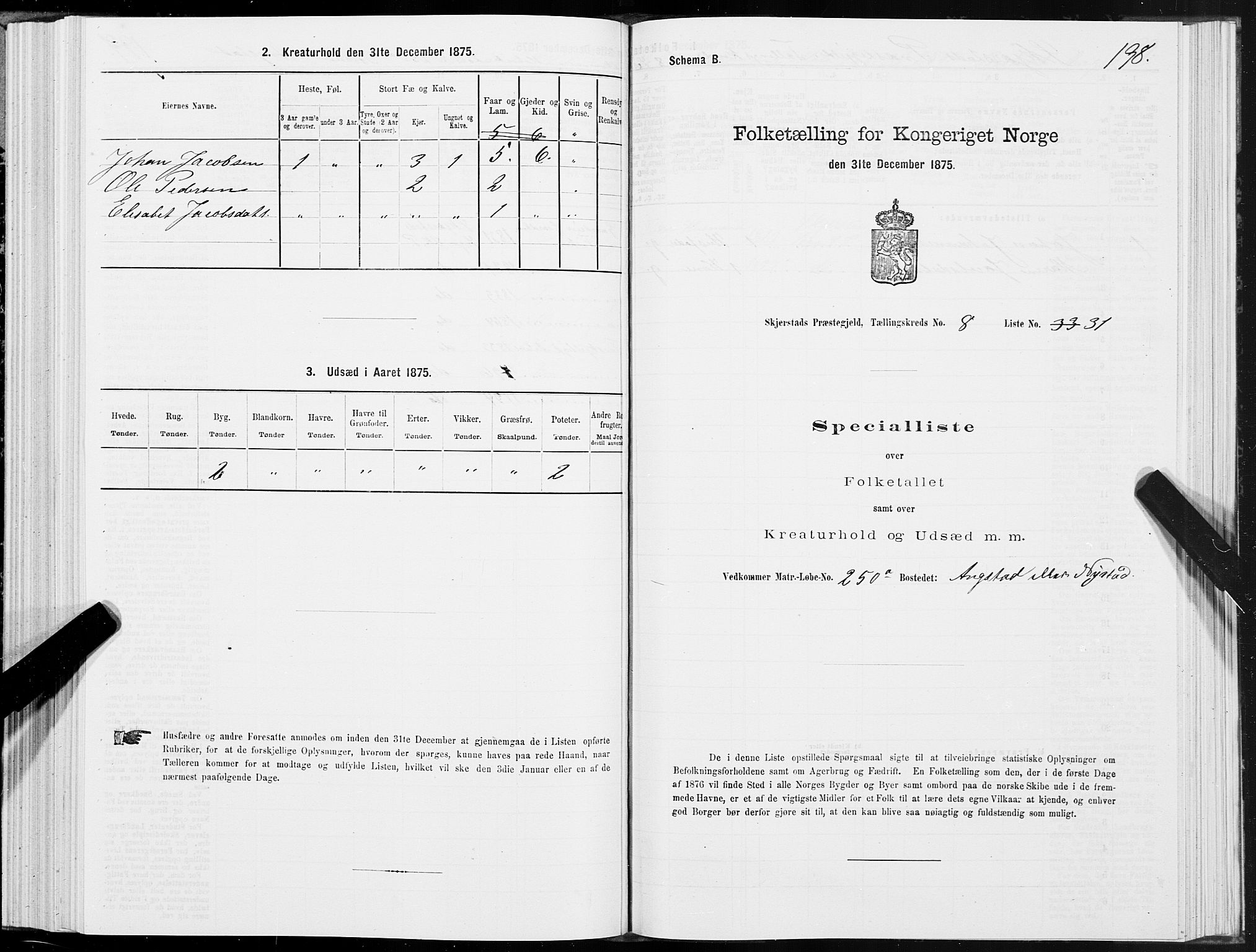 SAT, 1875 census for 1842P Skjerstad, 1875, p. 4198