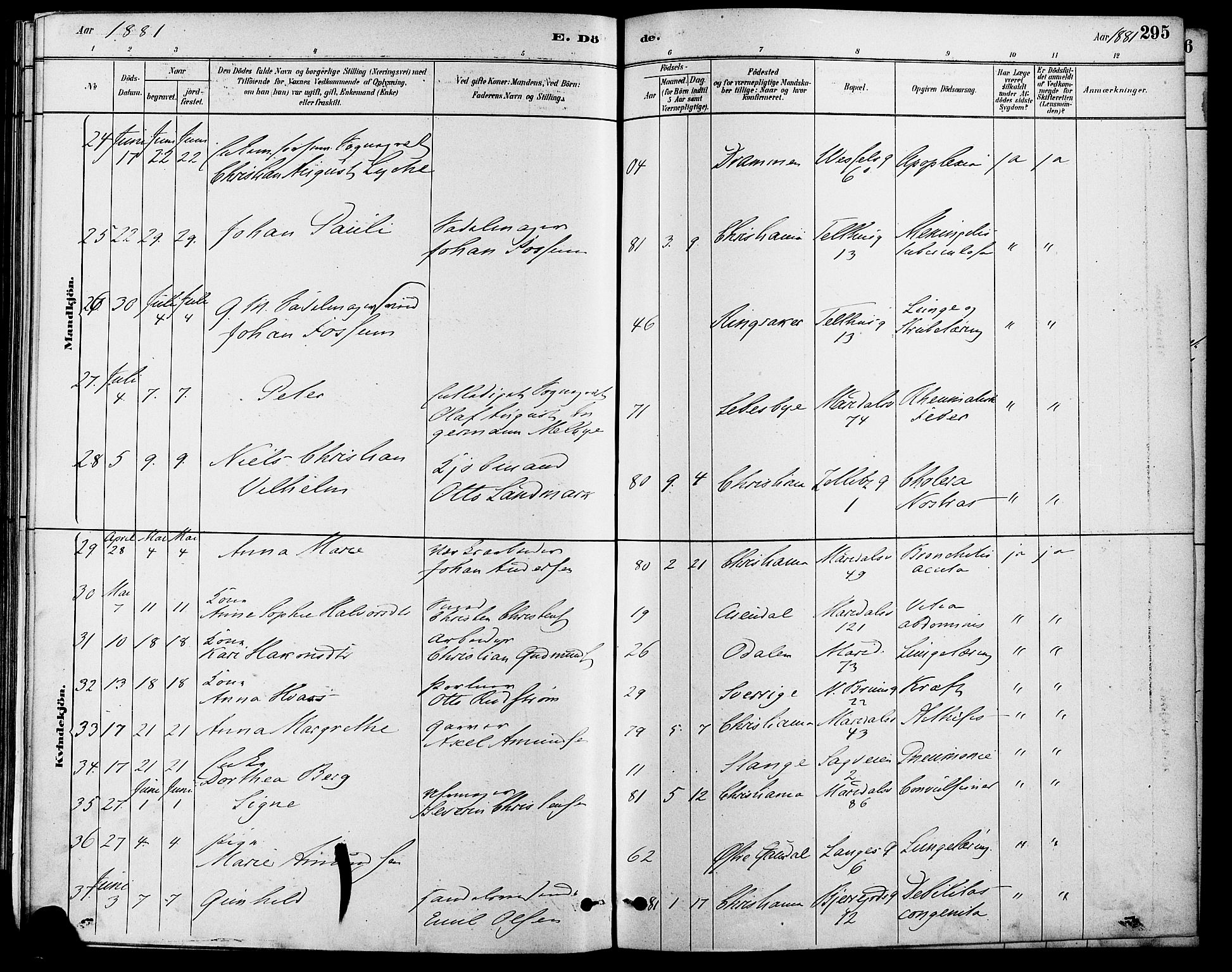 Gamle Aker prestekontor Kirkebøker, AV/SAO-A-10617a/F/L0006: Parish register (official) no. 6, 1880-1887, p. 295