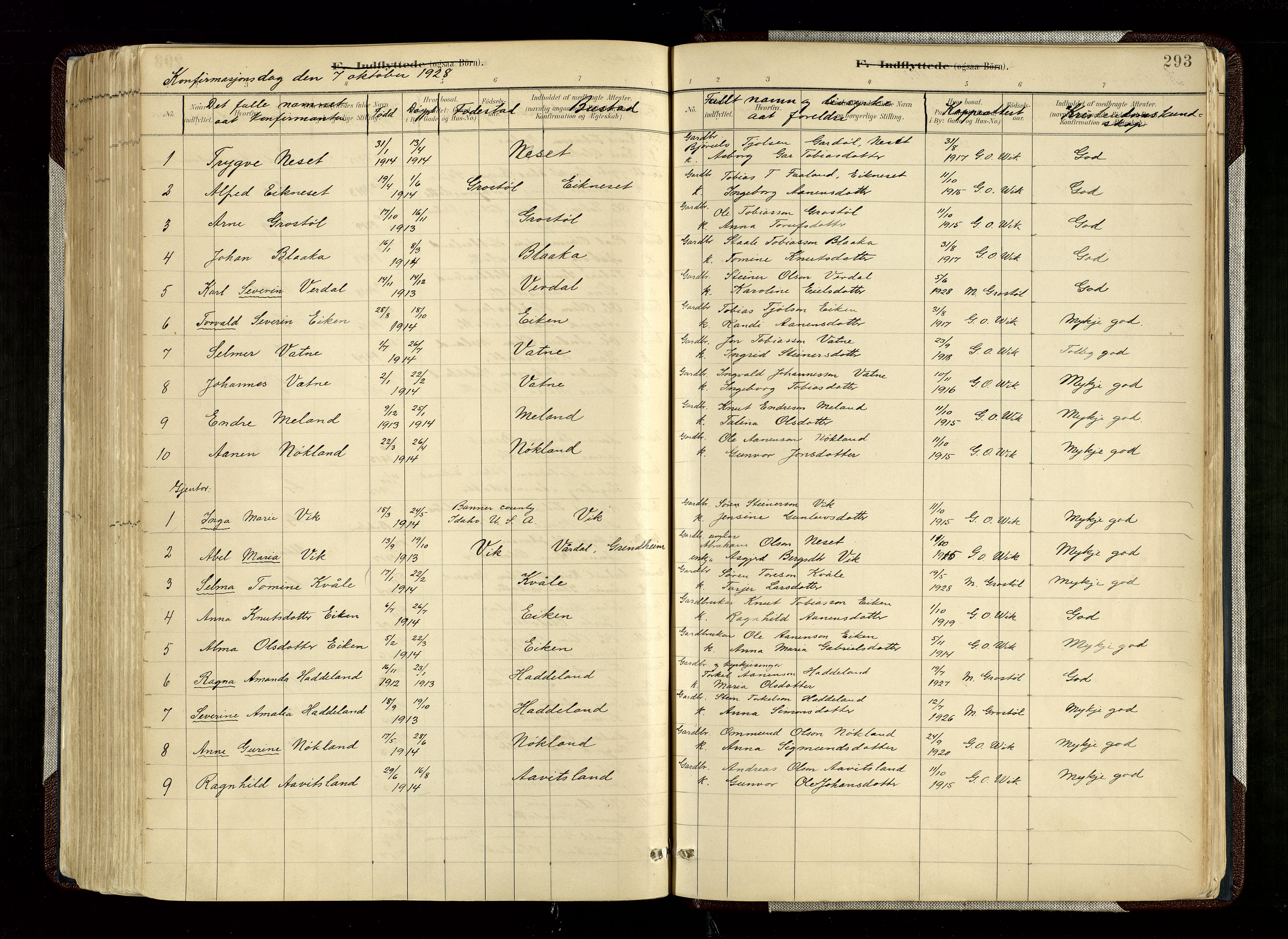Hægebostad sokneprestkontor, SAK/1111-0024/F/Fa/Fab/L0004: Parish register (official) no. A 4, 1887-1929, p. 293