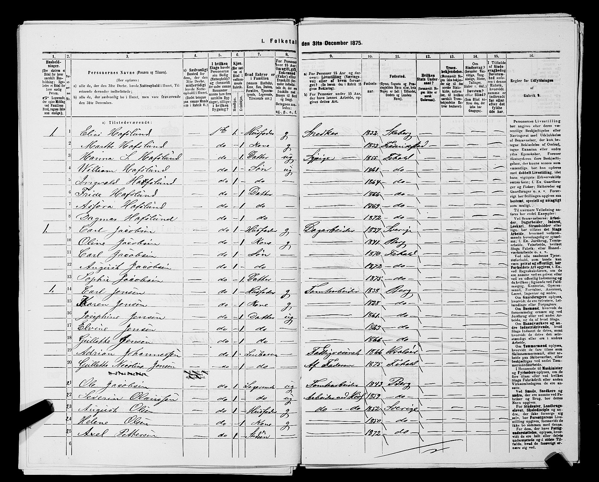 RA, 1875 census for 0101P Fredrikshald, 1875, p. 610
