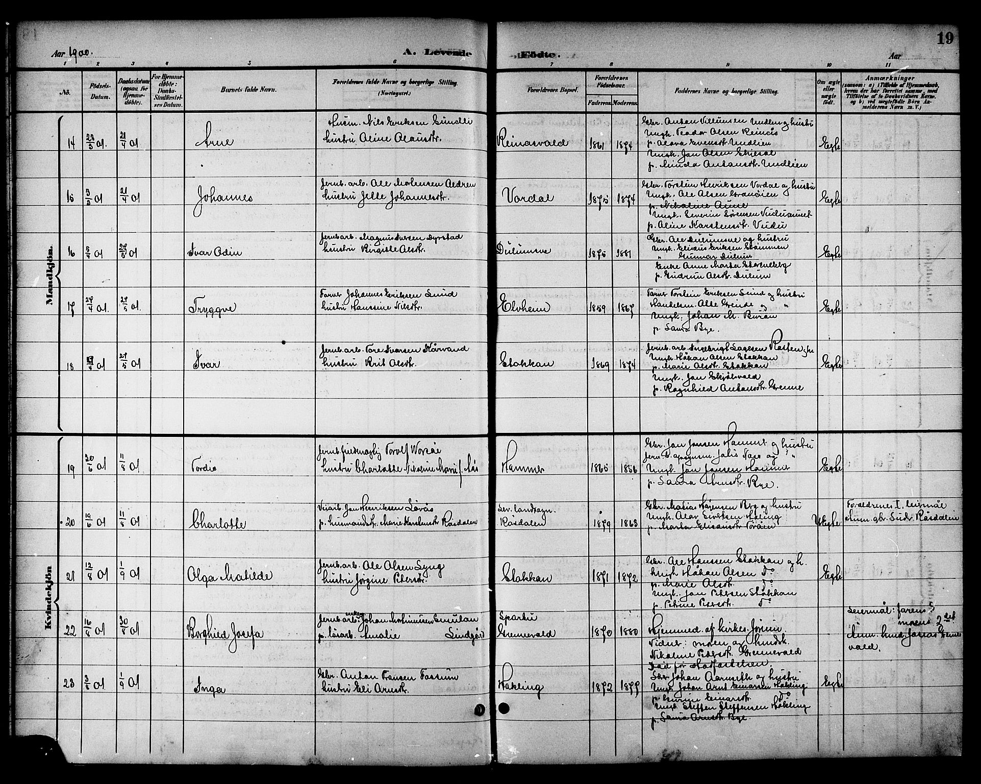 Ministerialprotokoller, klokkerbøker og fødselsregistre - Nord-Trøndelag, SAT/A-1458/714/L0135: Parish register (copy) no. 714C04, 1899-1918, p. 19