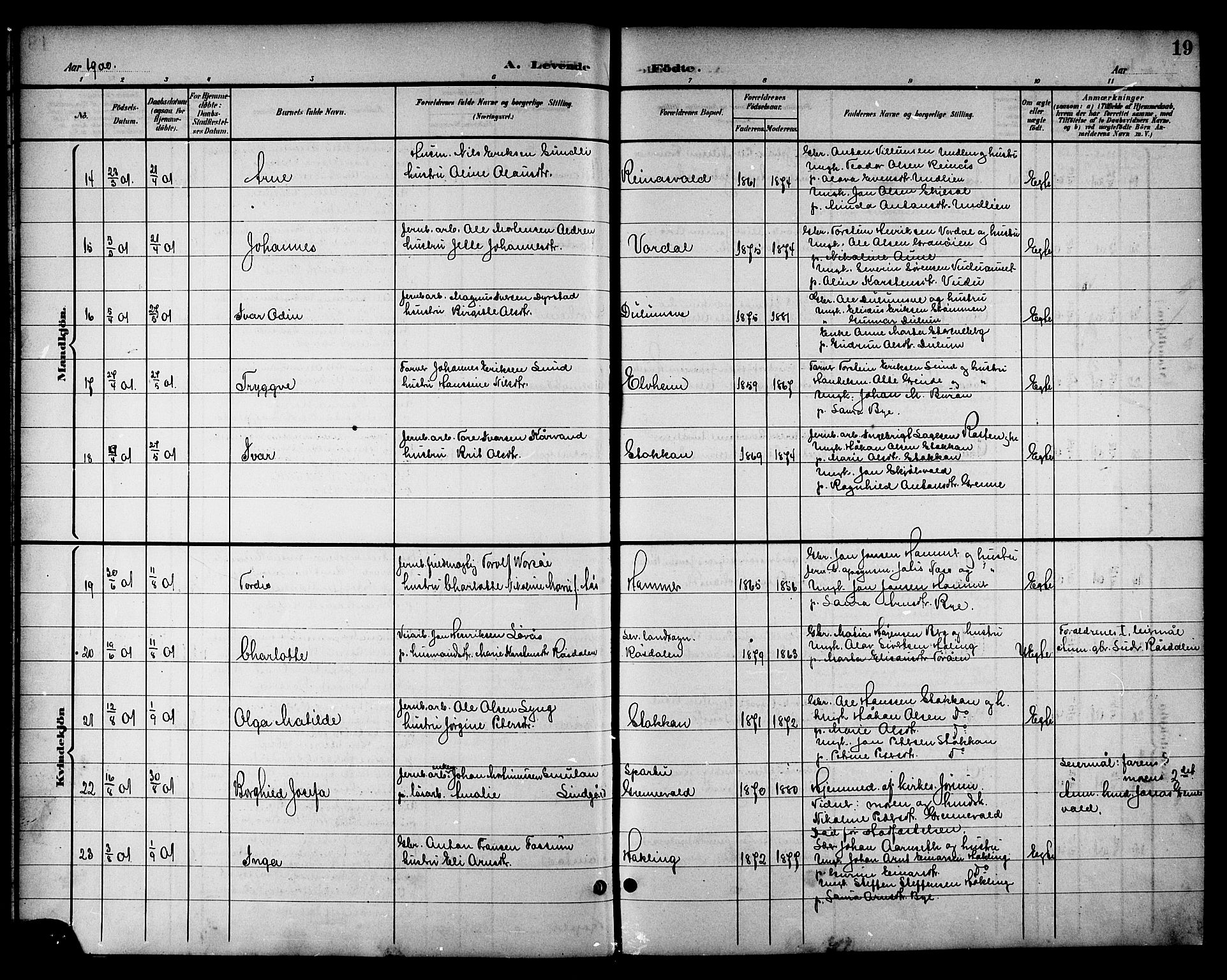 Ministerialprotokoller, klokkerbøker og fødselsregistre - Nord-Trøndelag, AV/SAT-A-1458/714/L0135: Parish register (copy) no. 714C04, 1899-1918, p. 19