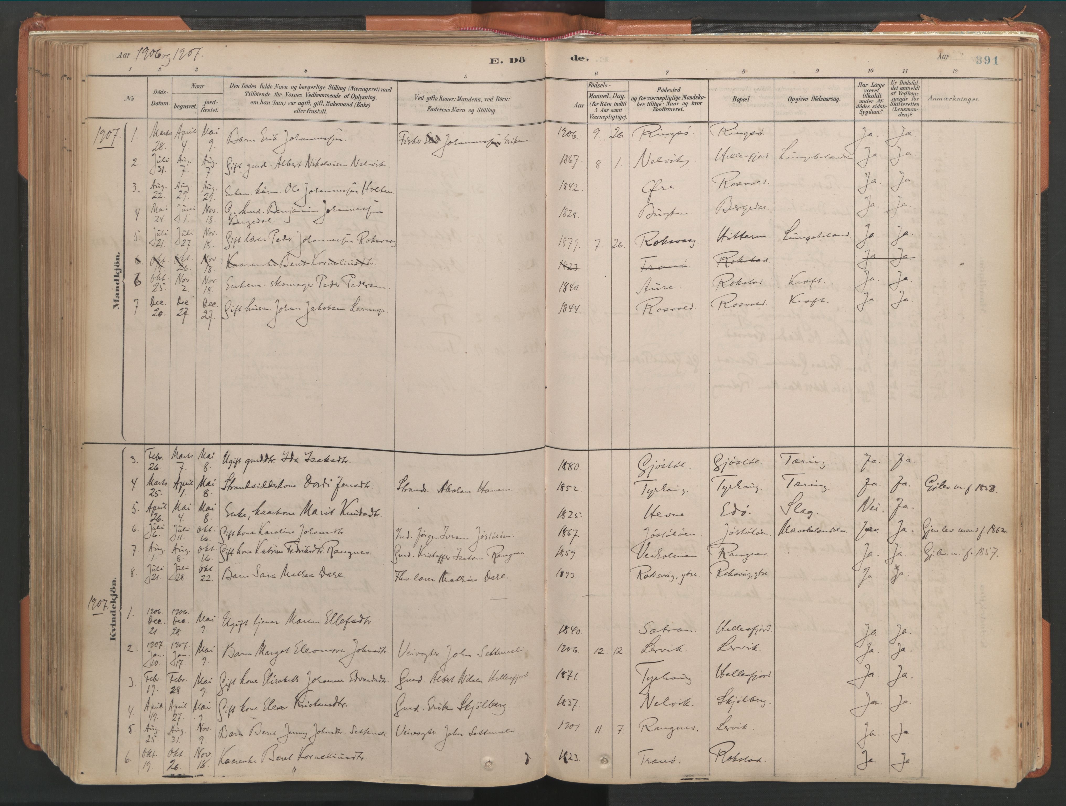 Ministerialprotokoller, klokkerbøker og fødselsregistre - Møre og Romsdal, AV/SAT-A-1454/581/L0941: Parish register (official) no. 581A09, 1880-1919, p. 391