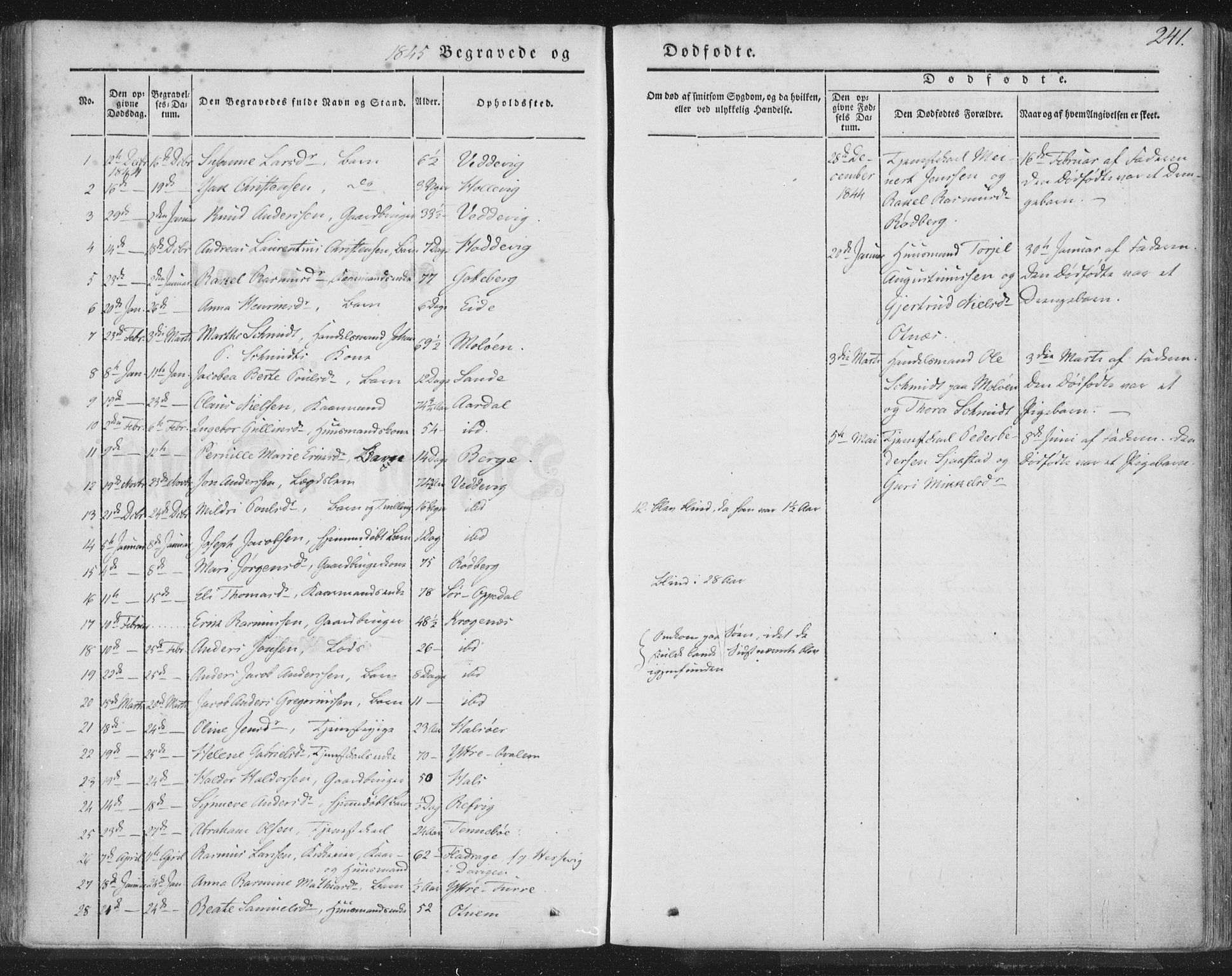 Selje sokneprestembete, AV/SAB-A-99938/H/Ha/Haa/Haaa: Parish register (official) no. A 10, 1844-1858, p. 241