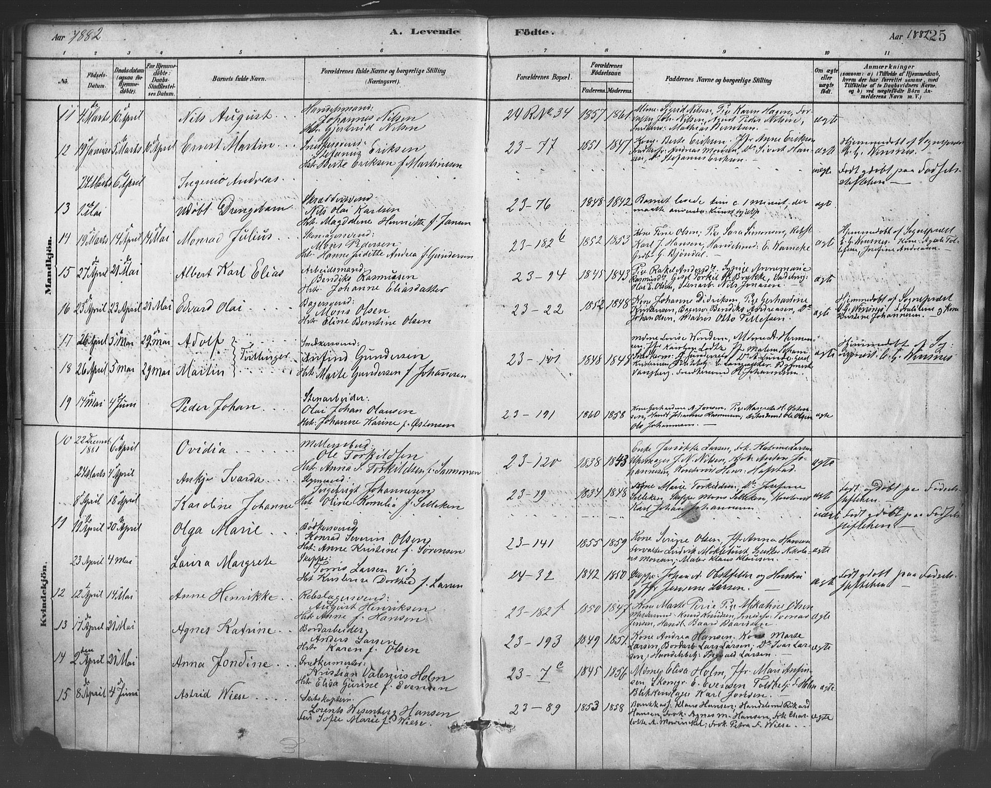 Mariakirken Sokneprestembete, AV/SAB-A-76901/H/Haa/L0007: Parish register (official) no. A 7, 1878-1893, p. 25