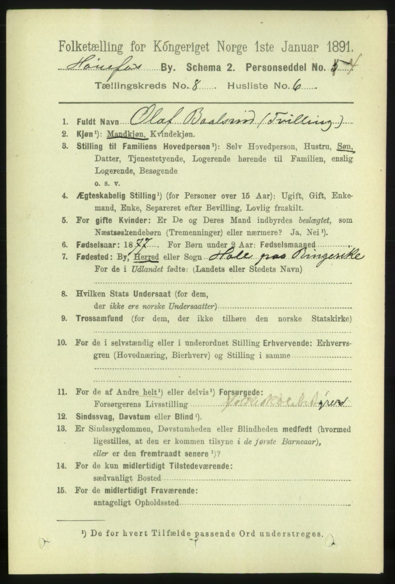 RA, 1891 census for 0601 Hønefoss, 1891, p. 1315