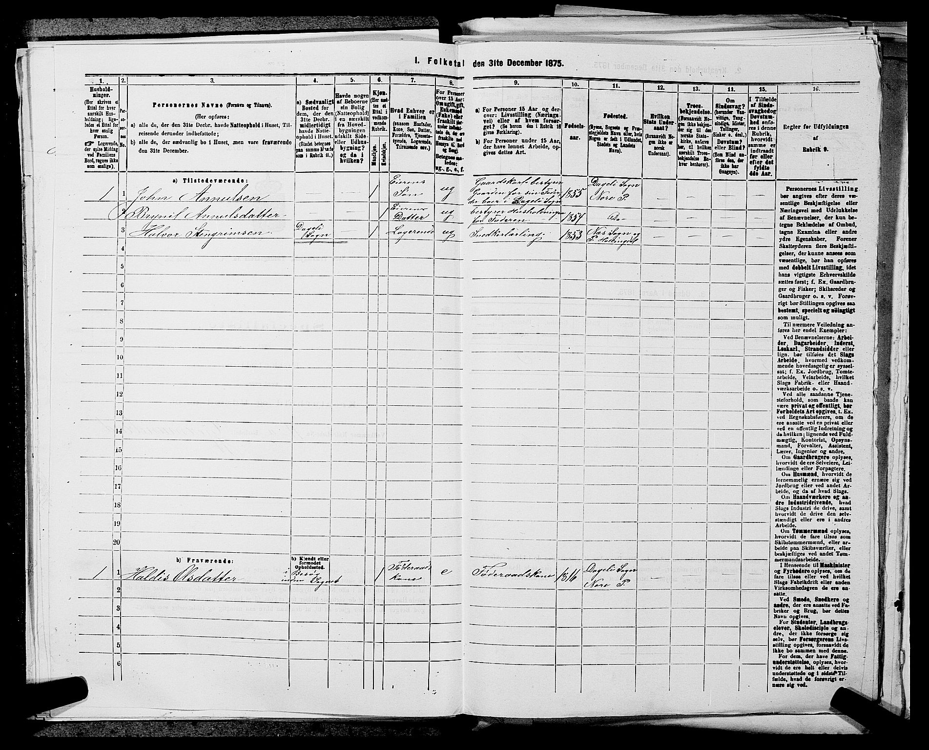 SAKO, 1875 census for 0633P Nore, 1875, p. 294