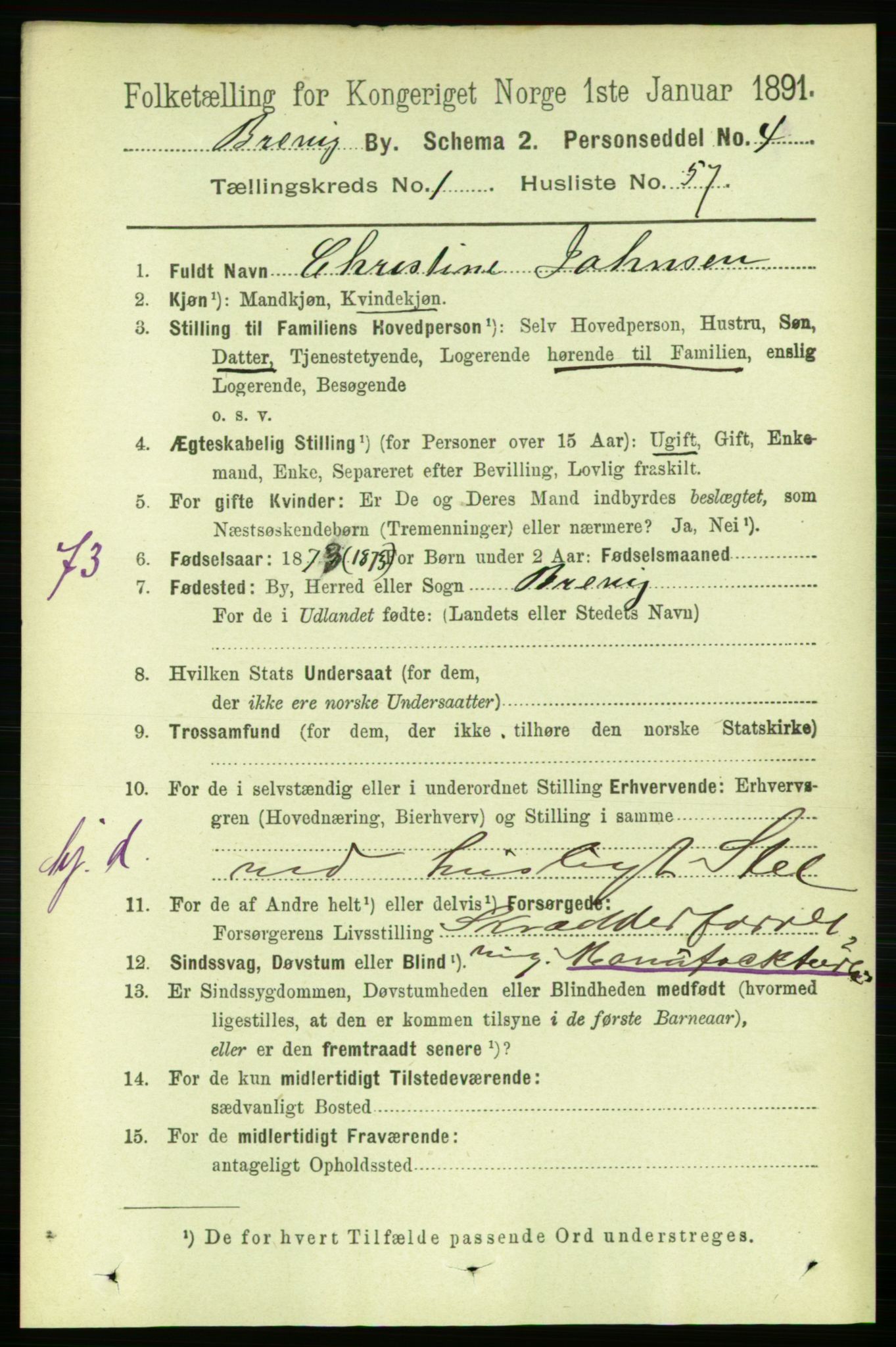 RA, 1891 census for 0804 Brevik, 1891, p. 1172