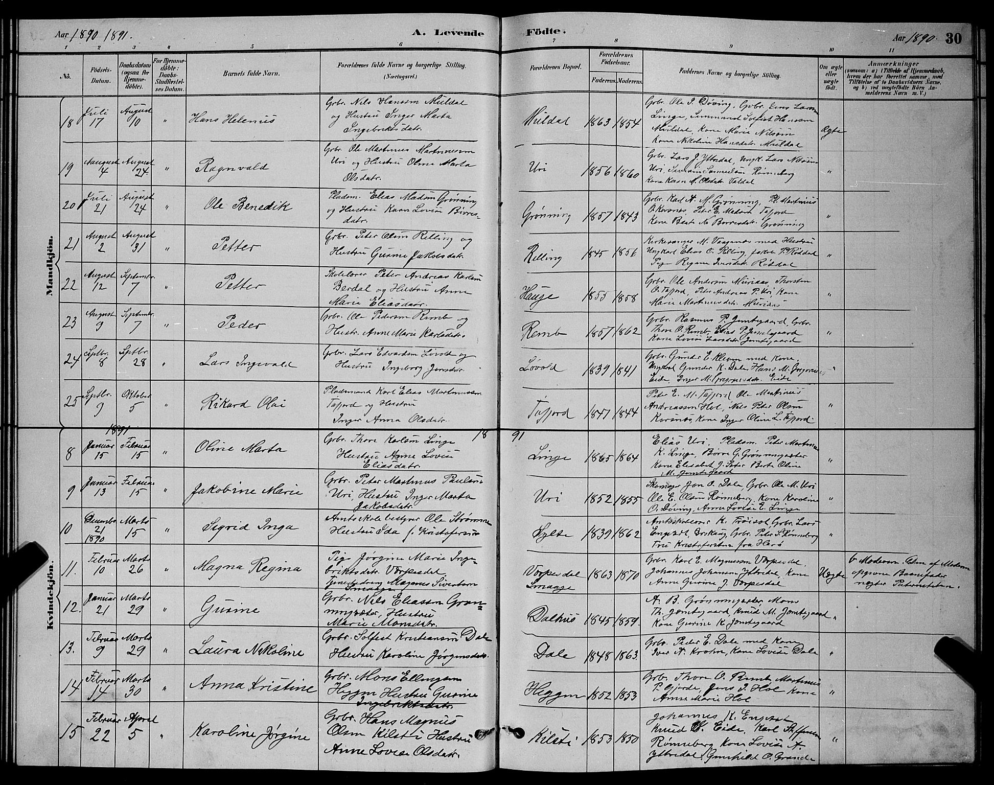 Ministerialprotokoller, klokkerbøker og fødselsregistre - Møre og Romsdal, AV/SAT-A-1454/519/L0263: Parish register (copy) no. 519C04, 1885-1892, p. 30