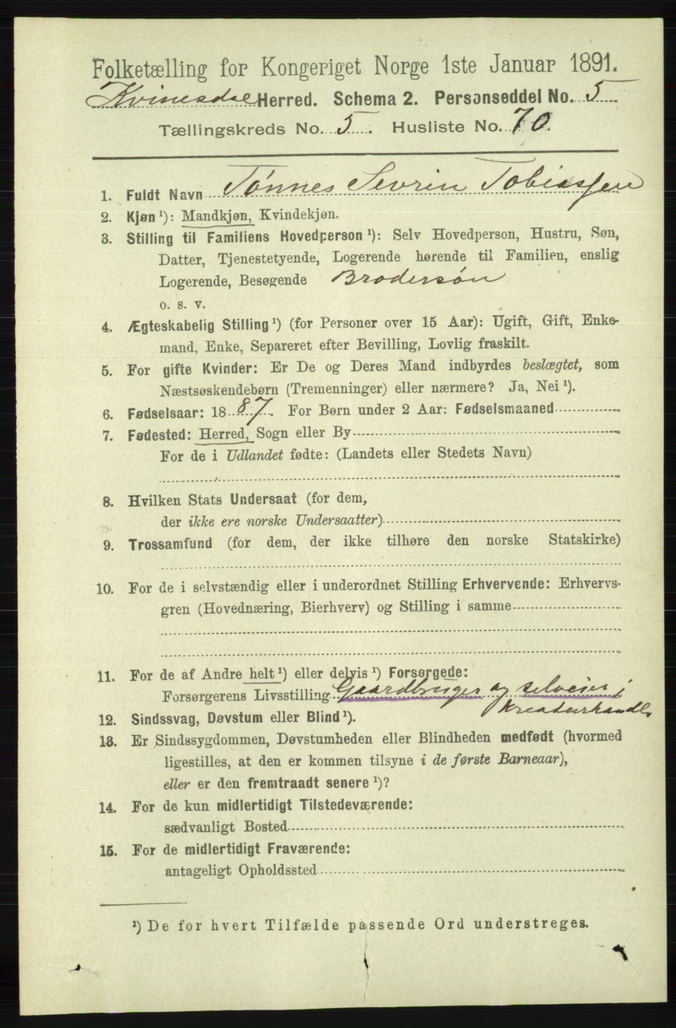 RA, 1891 census for 1037 Kvinesdal, 1891, p. 2046