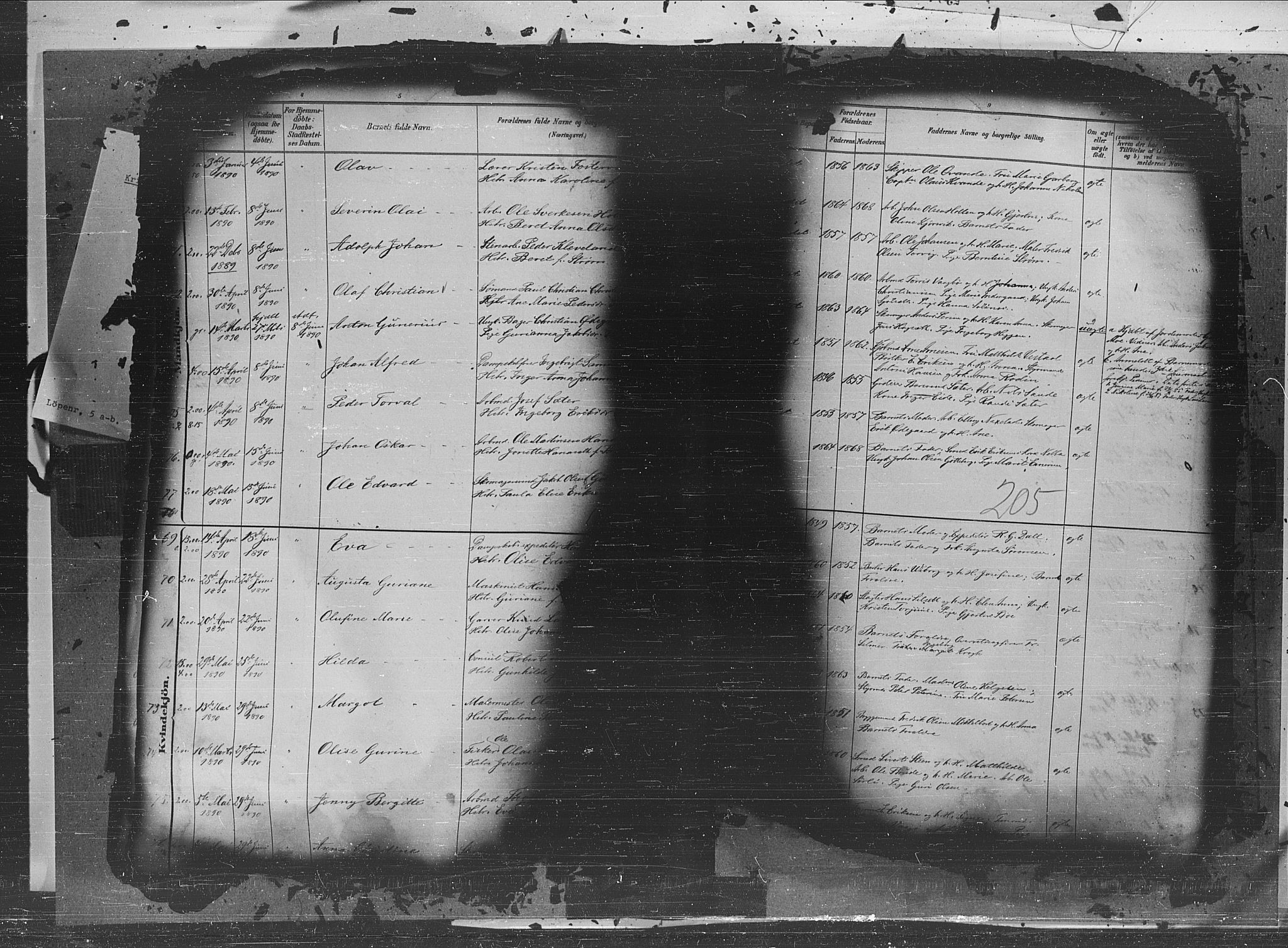 Ministerialprotokoller, klokkerbøker og fødselsregistre - Møre og Romsdal, AV/SAT-A-1454/572/L0851: Parish register (official) no. 572A14, 1880-1897, p. 205