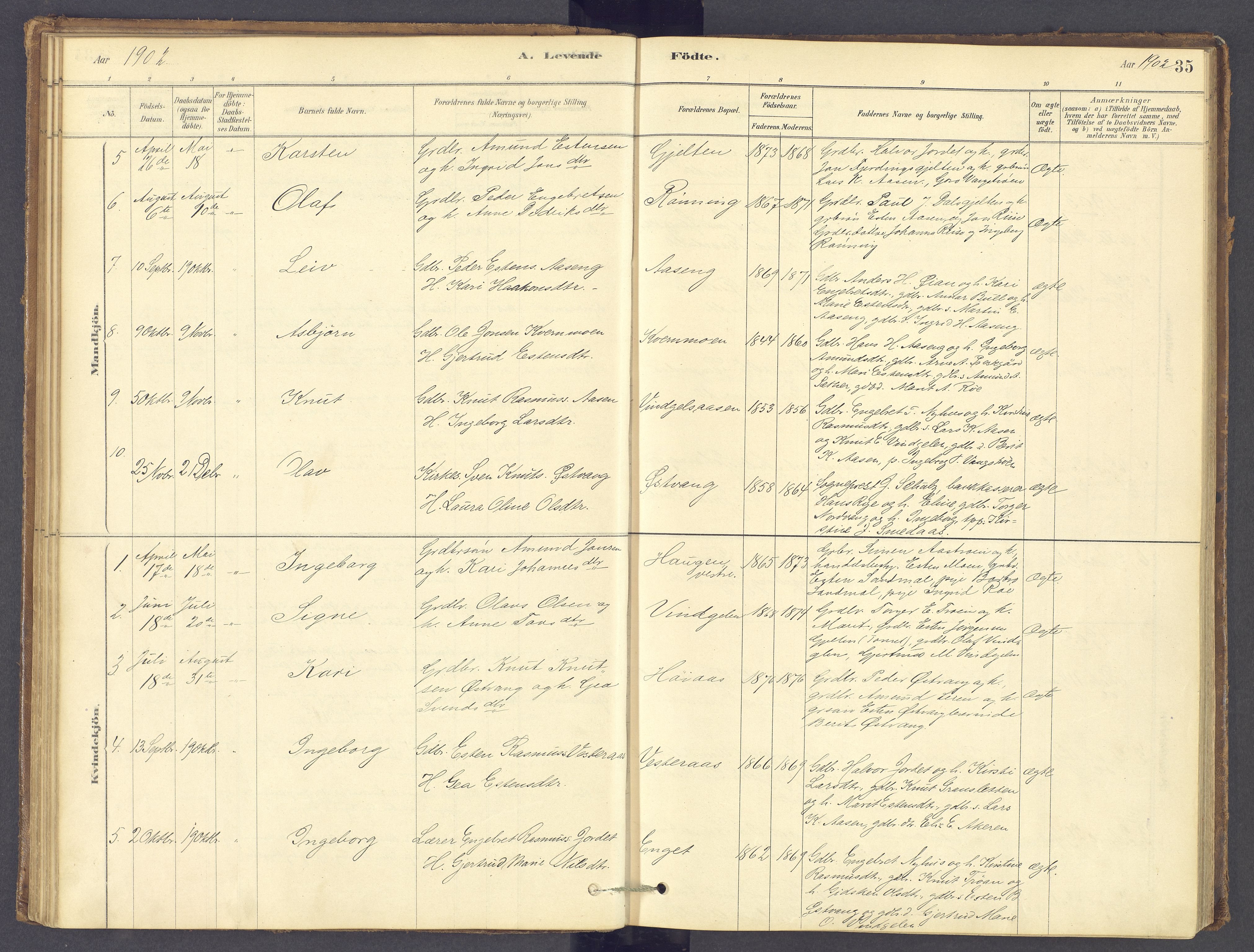 Tolga prestekontor, SAH/PREST-062/K/L0012: Parish register (official) no. 12, 1877-1925, p. 35
