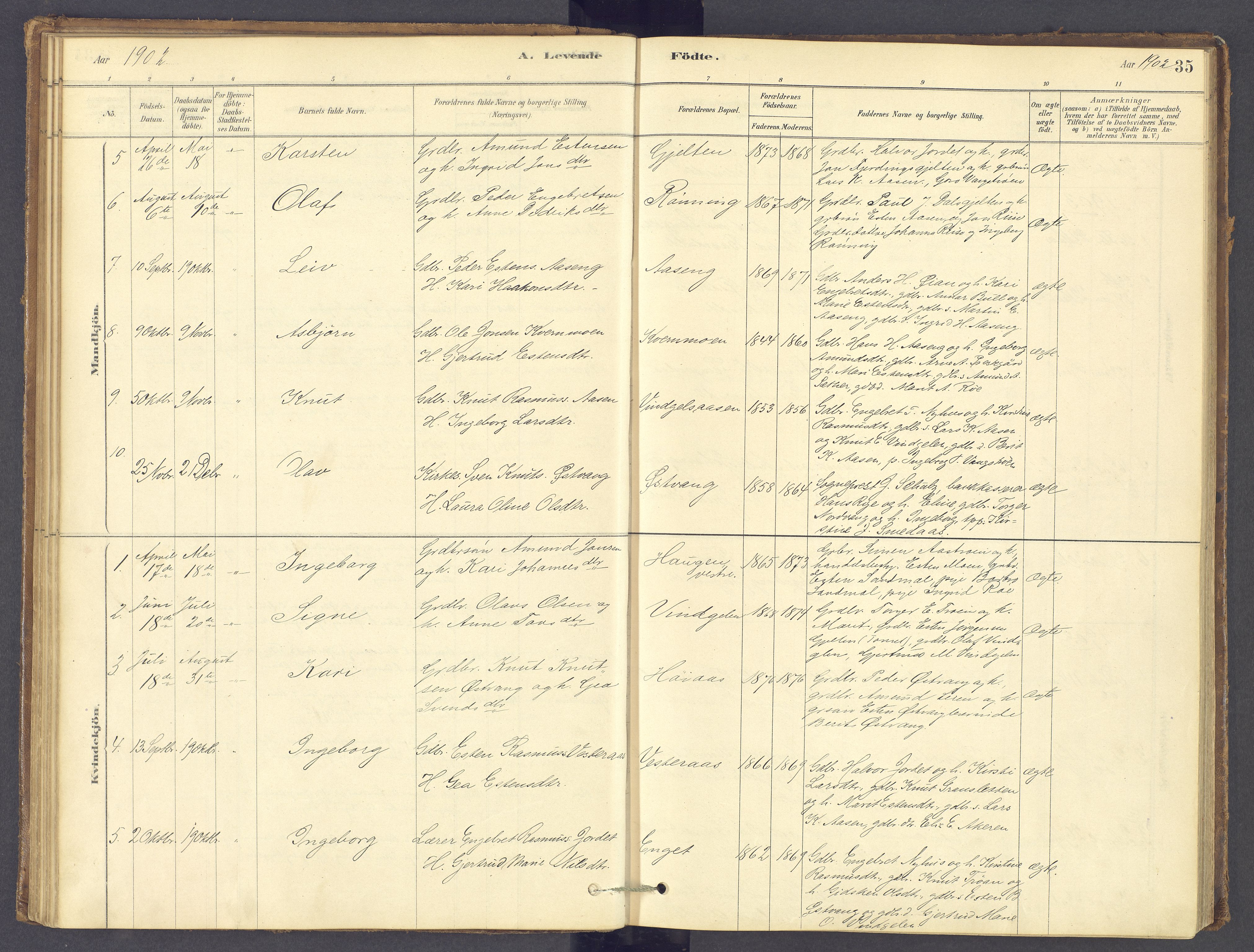 Tolga prestekontor, AV/SAH-PREST-062/K/L0012: Parish register (official) no. 12, 1877-1925, p. 35