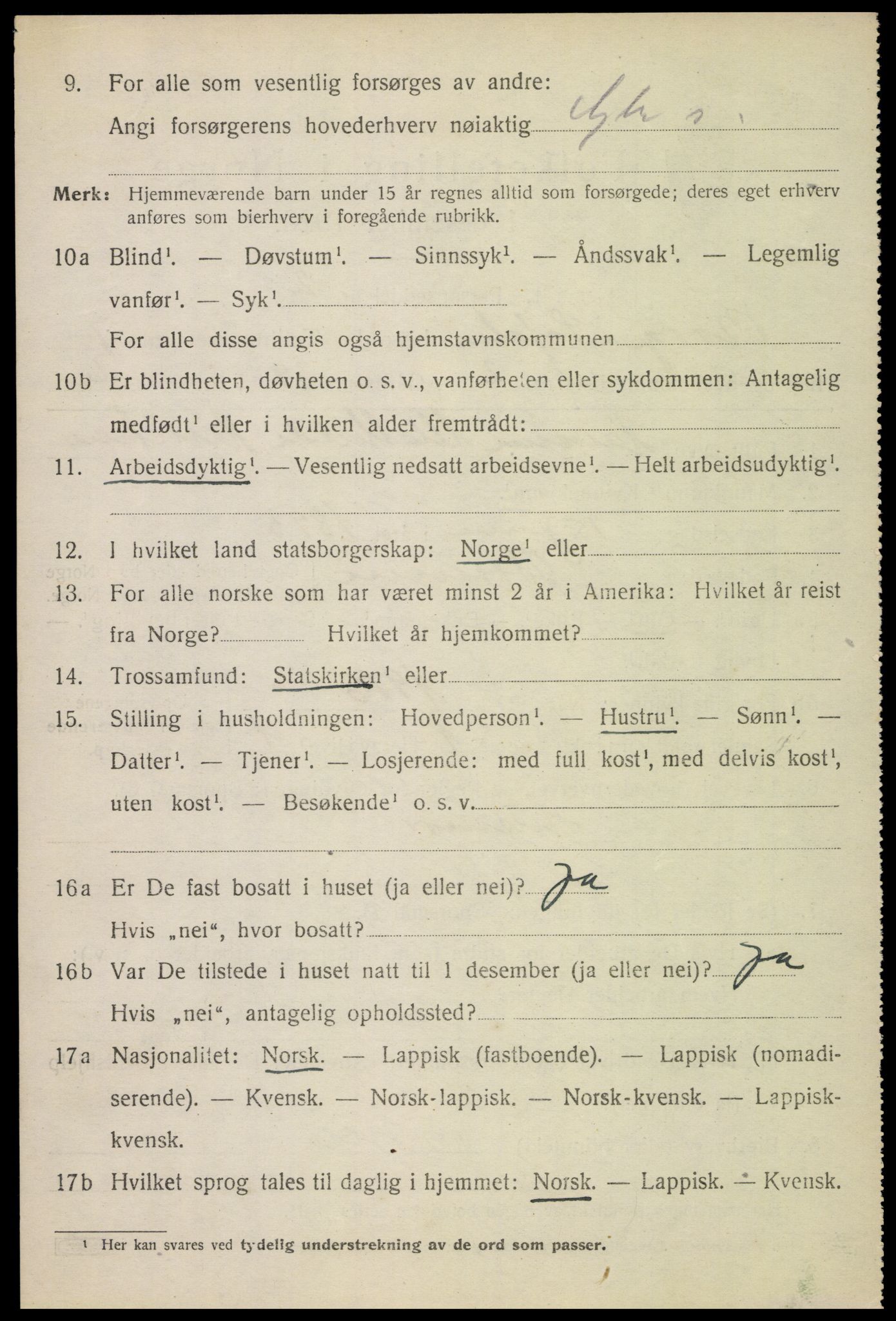 SAT, 1920 census for Borge, 1920, p. 6394