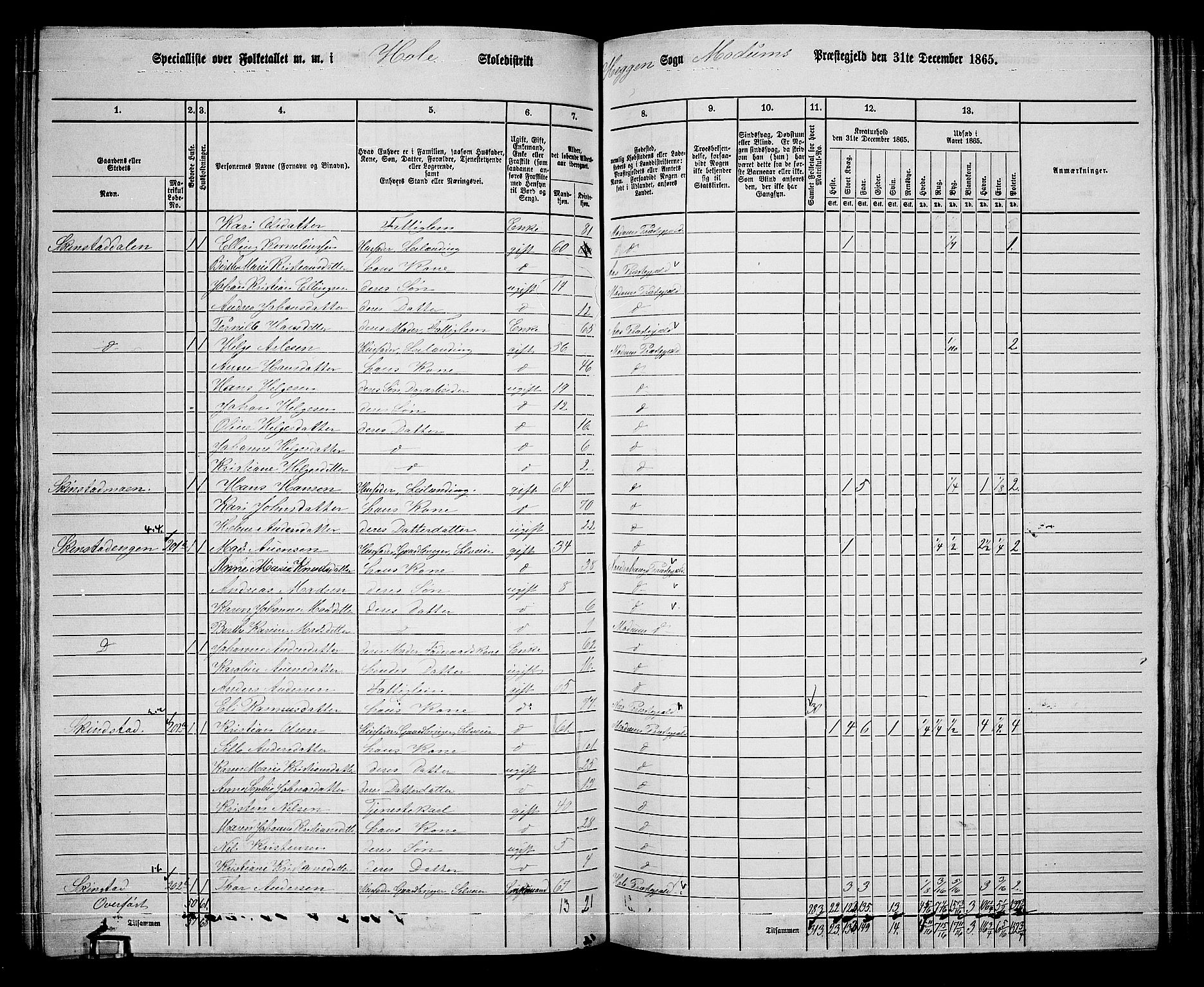 RA, 1865 census for Modum, 1865, p. 179