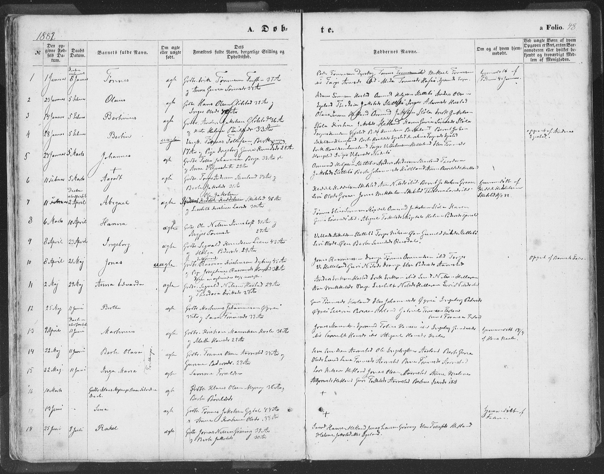 Helleland sokneprestkontor, SAST/A-101810: Parish register (official) no. A 7.1, 1863-1886, p. 48