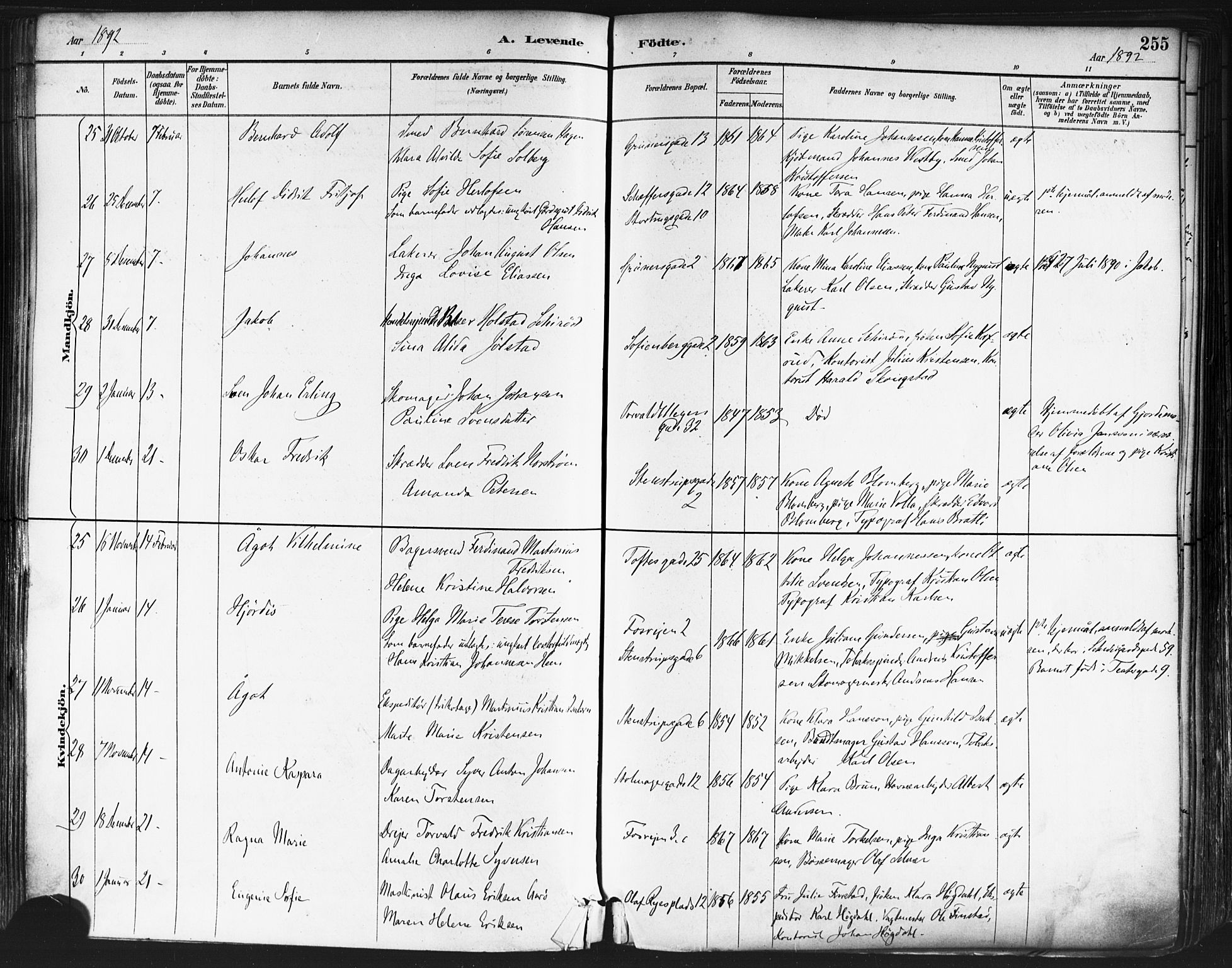 Paulus prestekontor Kirkebøker, AV/SAO-A-10871/F/Fa/L0013: Parish register (official) no. 13, 1887-1894, p. 255