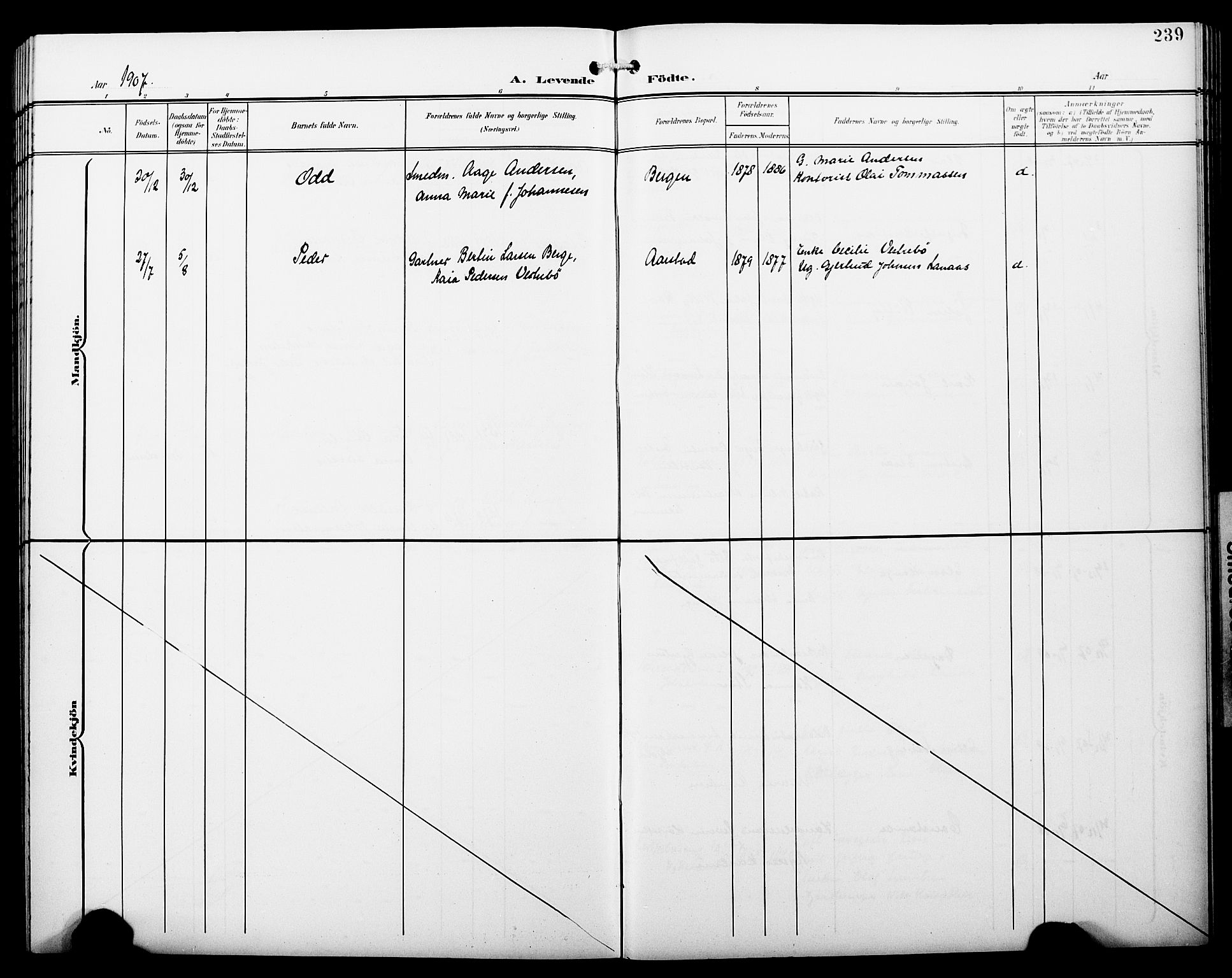 Fødselsstiftelsens sokneprestembete*, SAB/-: Parish register (copy) no. A 1, 1900-1909, p. 239