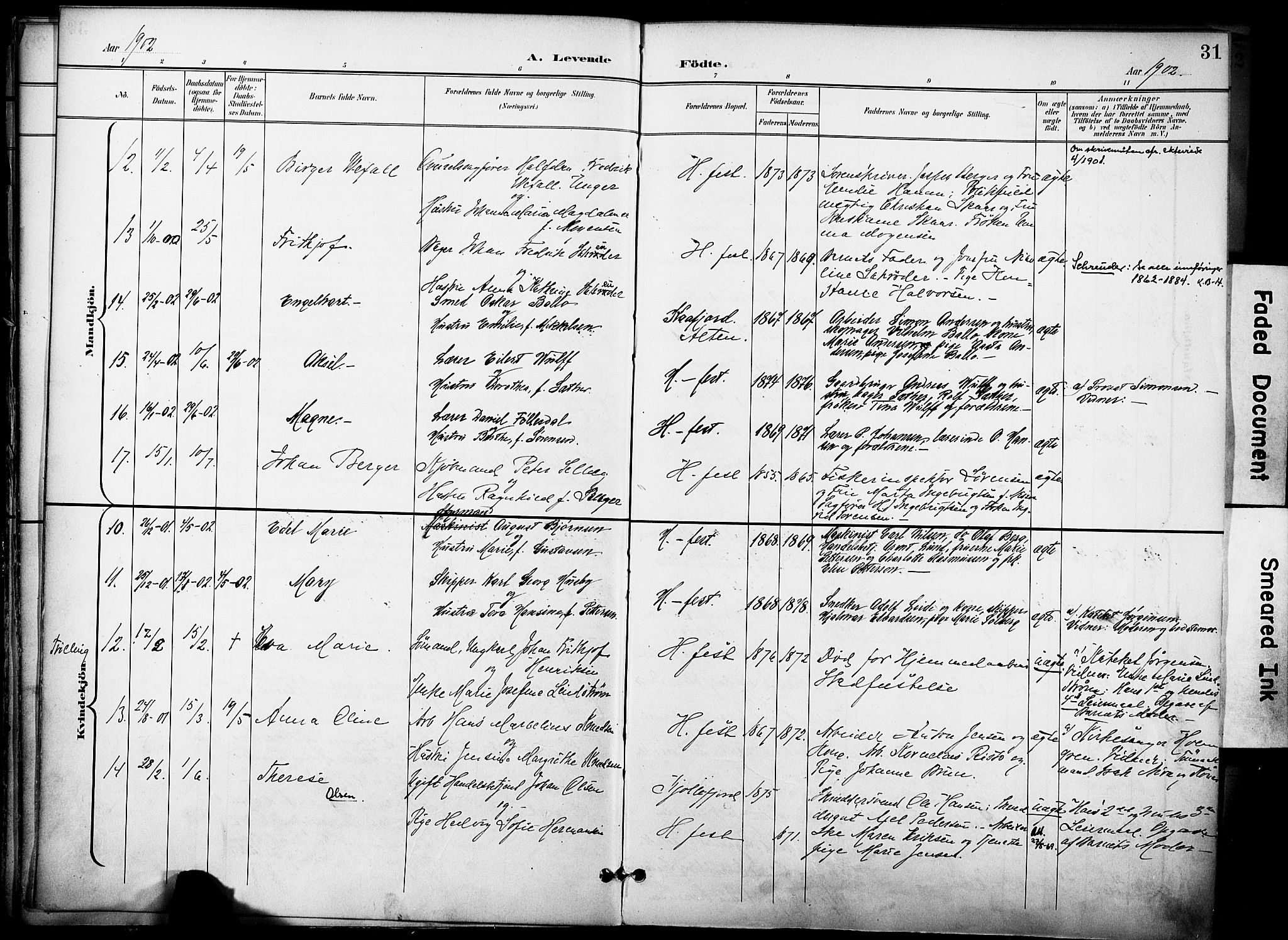 Hammerfest sokneprestkontor, AV/SATØ-S-1347/H/Ha/L0010.kirke: Parish register (official) no. 10, 1898-1905, p. 31
