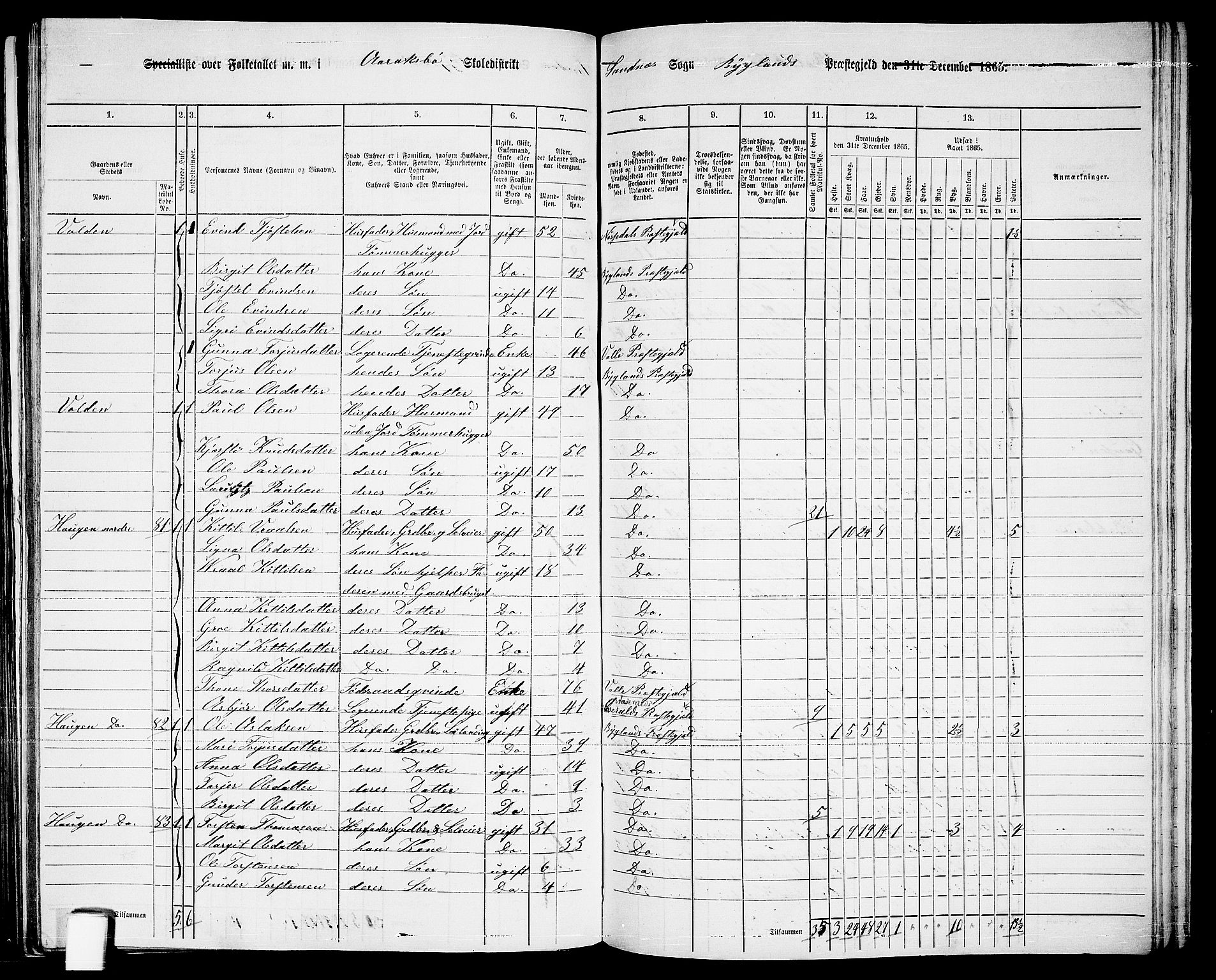 RA, 1865 census for Bygland, 1865, p. 40