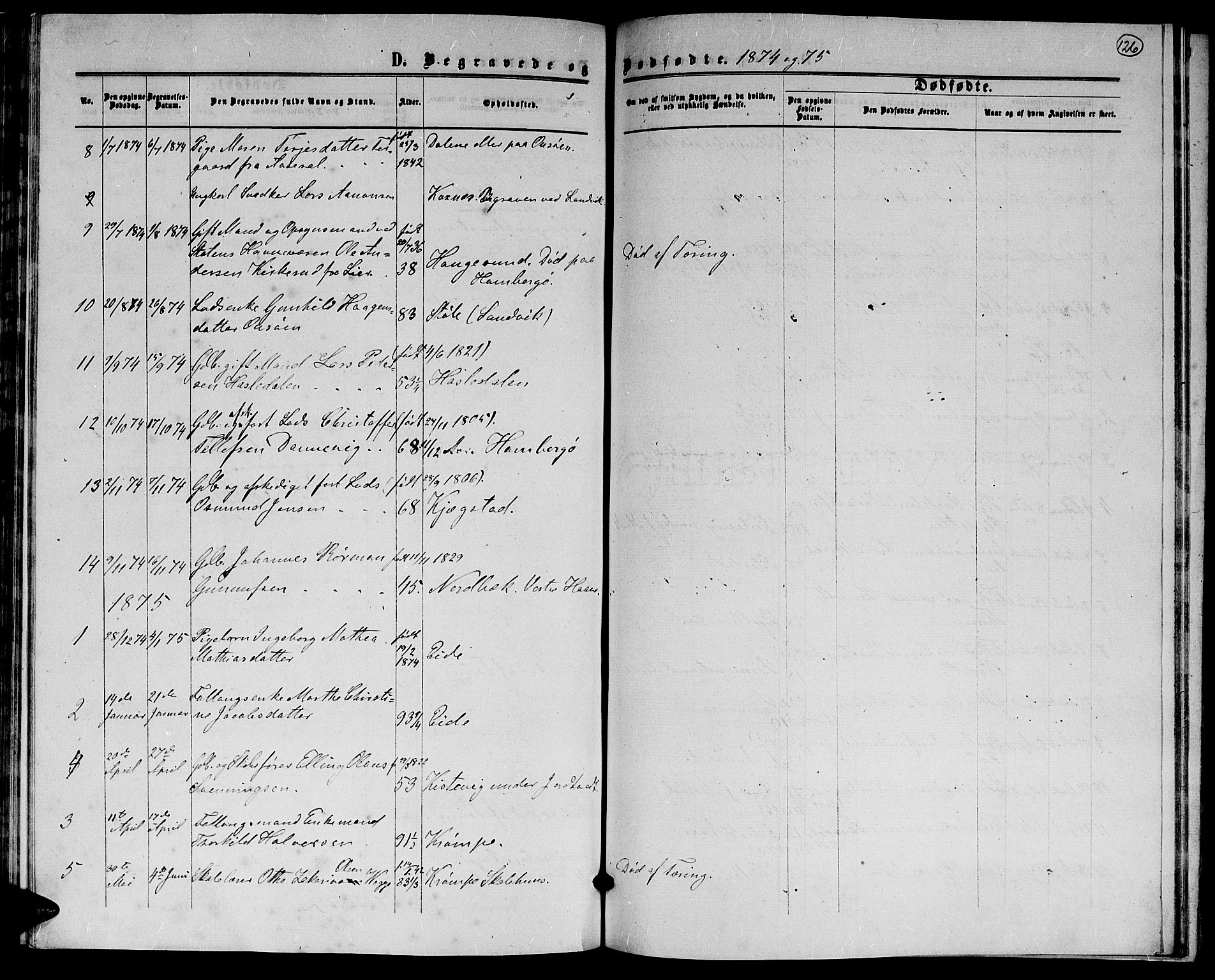 Hommedal sokneprestkontor, AV/SAK-1111-0023/F/Fb/Fba/L0003: Parish register (copy) no. B 3, 1863-1884, p. 126