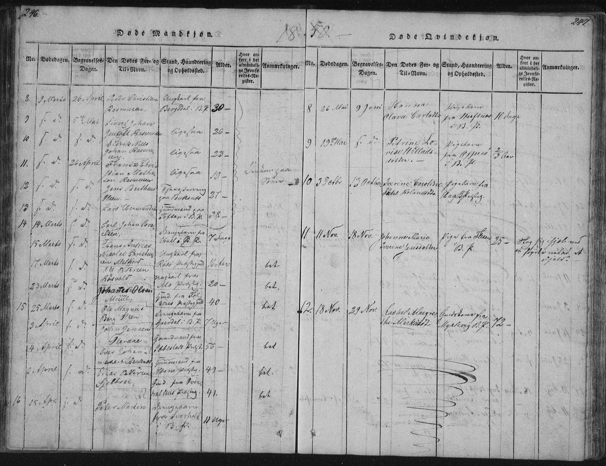 Ministerialprotokoller, klokkerbøker og fødselsregistre - Nordland, SAT/A-1459/881/L1164: Parish register (copy) no. 881C01, 1818-1853, p. 246-247