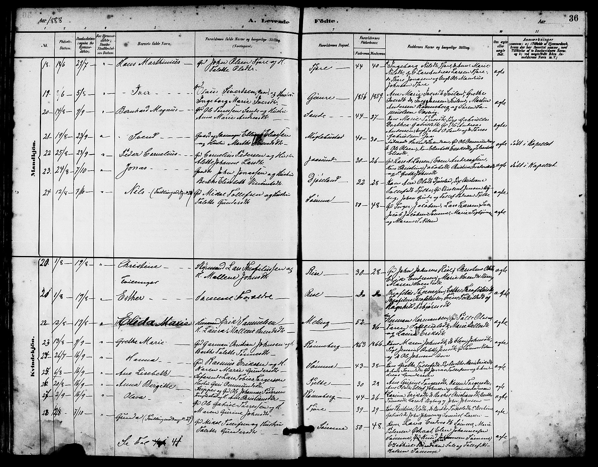 Håland sokneprestkontor, AV/SAST-A-101802/001/30BA/L0010: Parish register (official) no. A 9, 1883-1888, p. 36