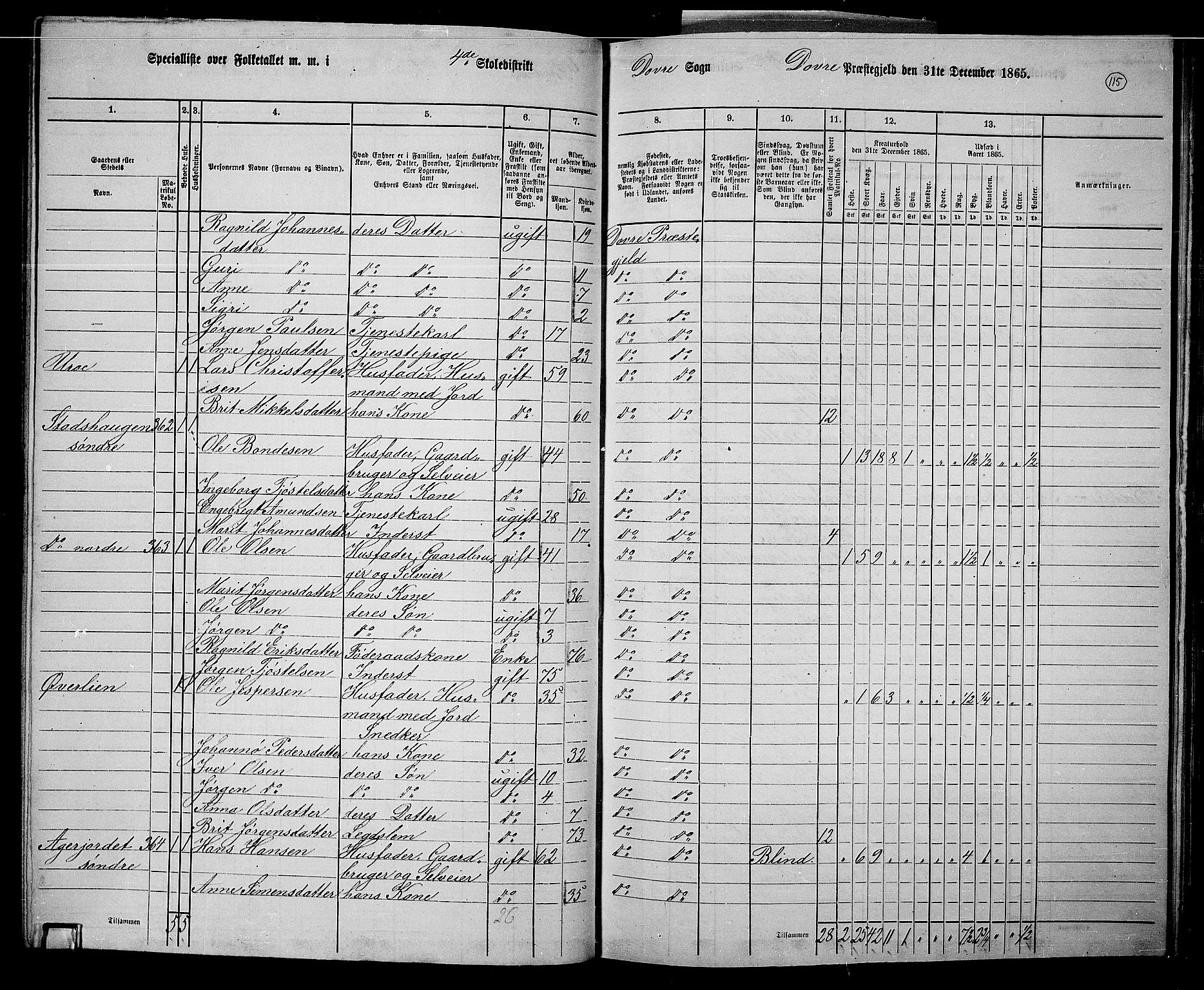 RA, 1865 census for Dovre, 1865, p. 111