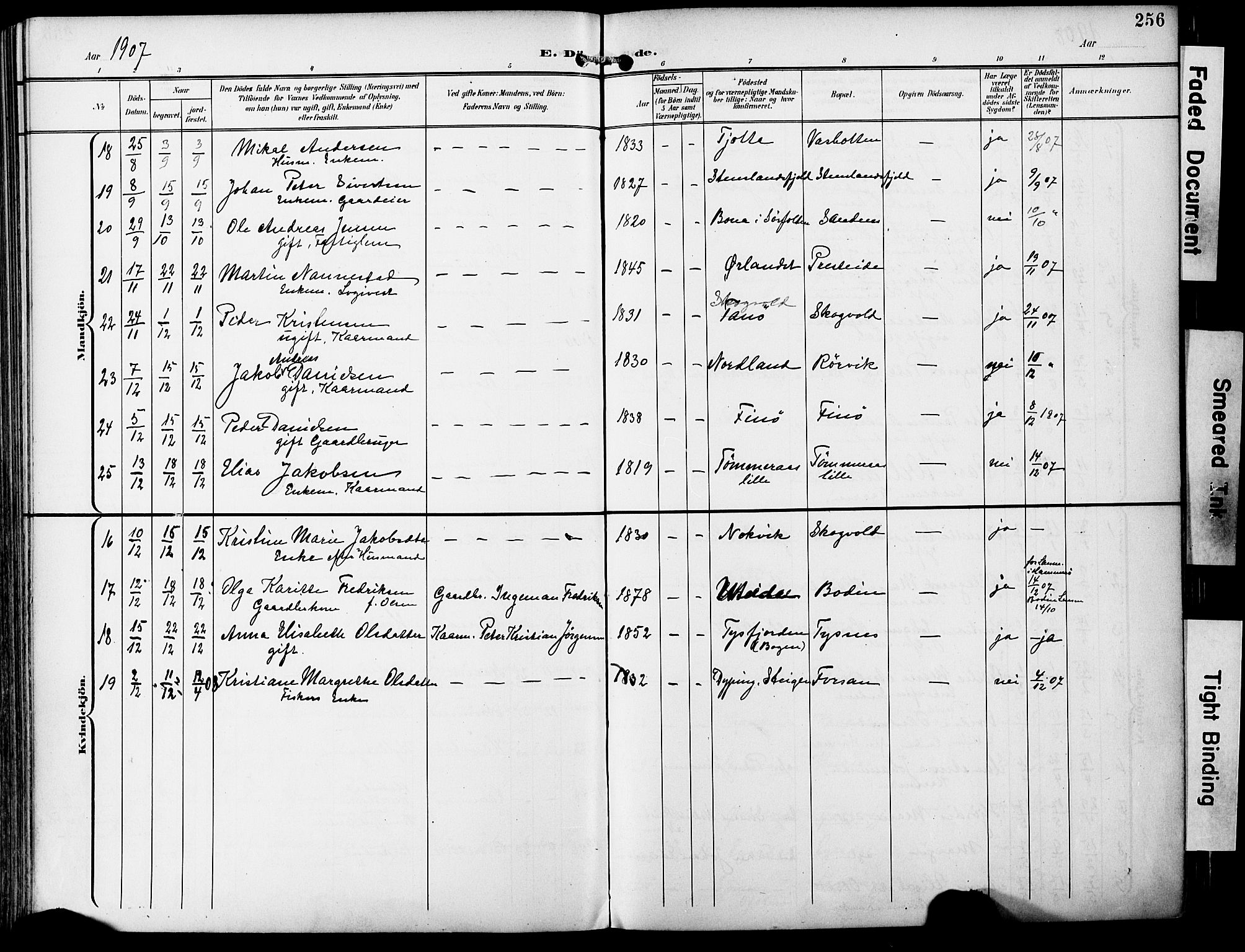 Ministerialprotokoller, klokkerbøker og fødselsregistre - Nordland, AV/SAT-A-1459/859/L0848: Parish register (official) no. 859A08, 1900-1912, p. 256