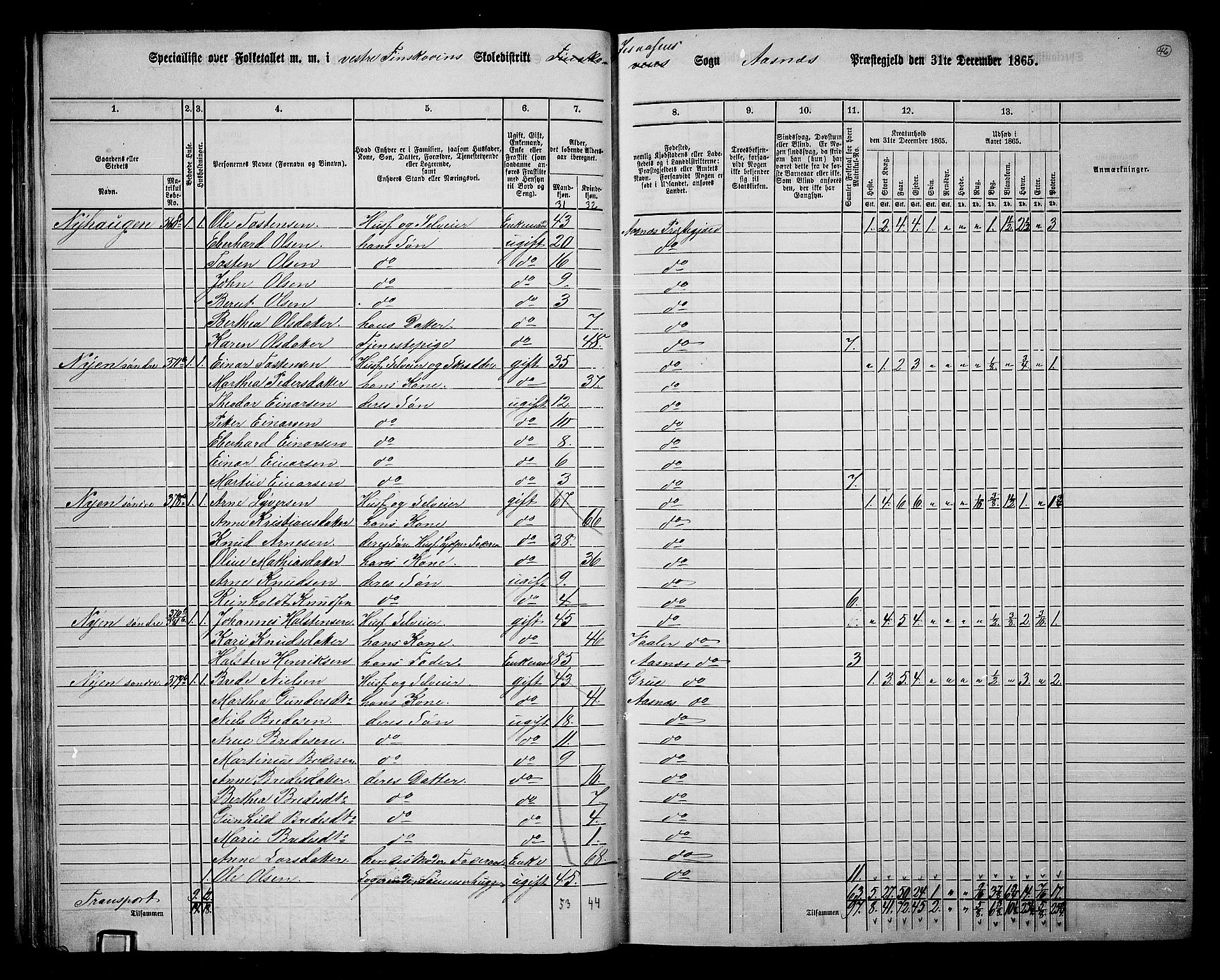 RA, 1865 census for Åsnes, 1865, p. 42