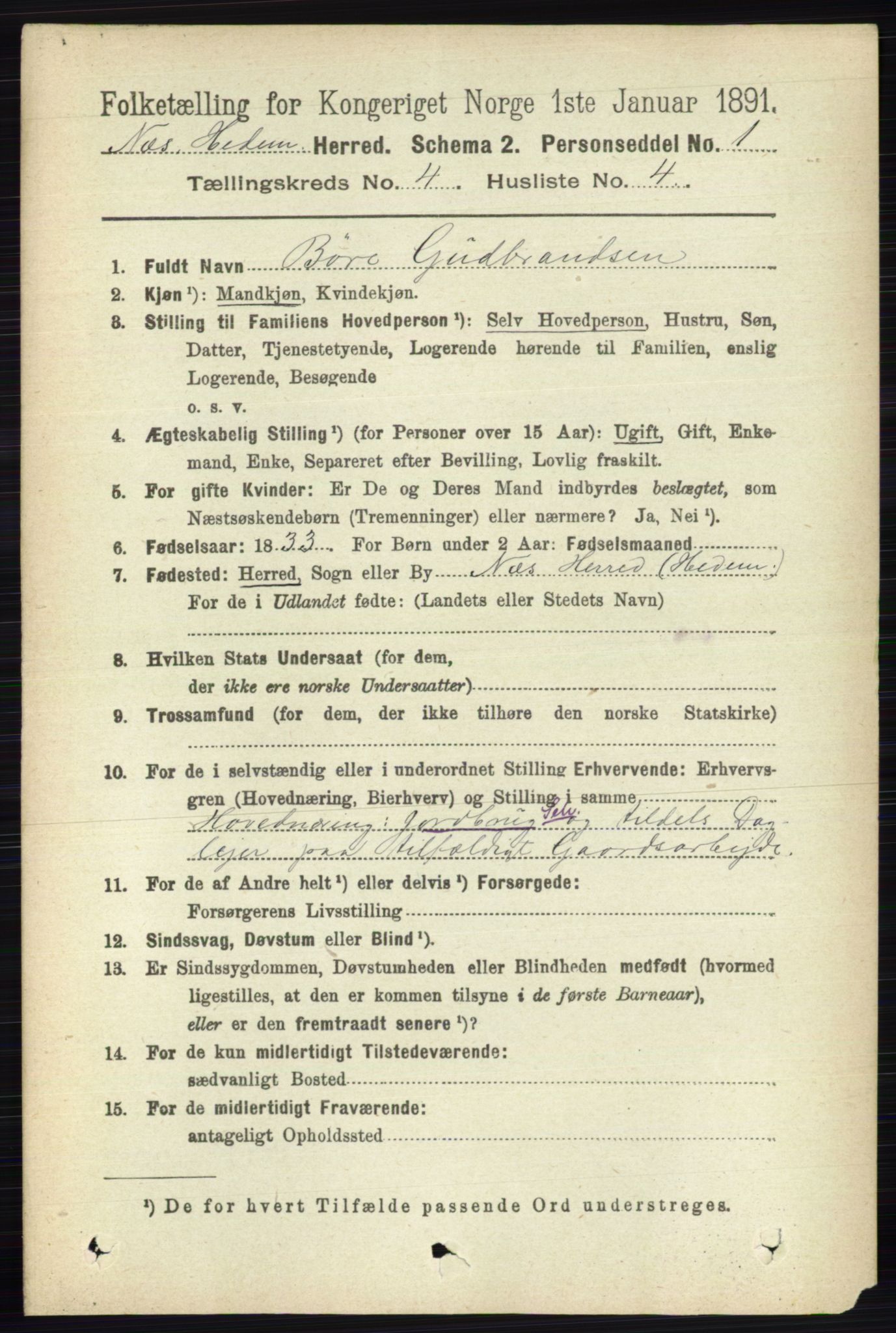 RA, 1891 census for 0411 Nes, 1891, p. 2057