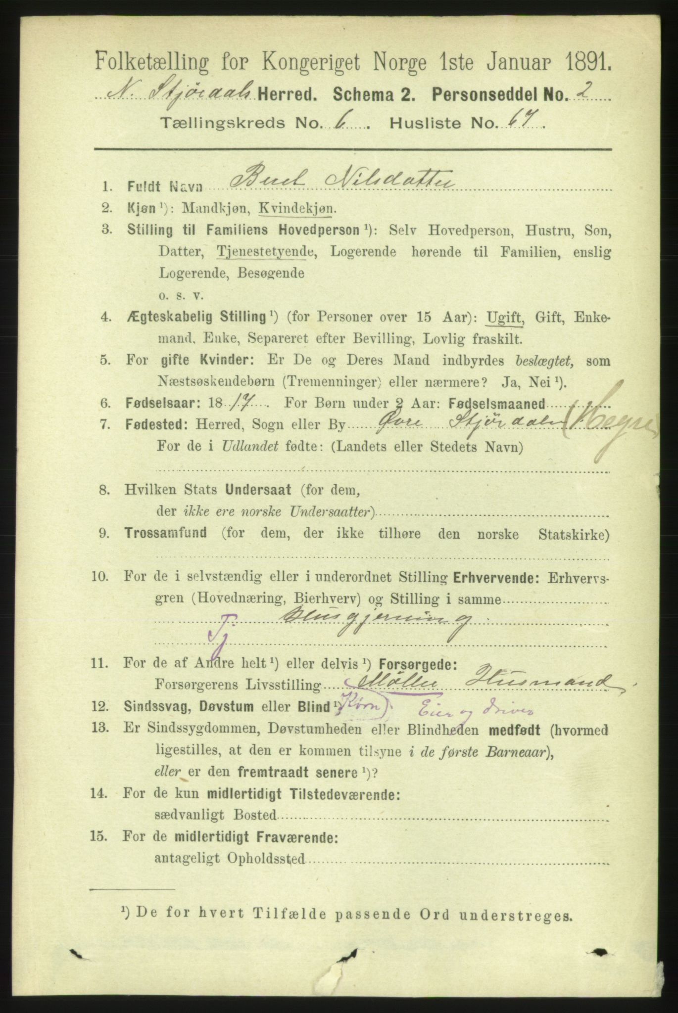 RA, 1891 census for 1714 Nedre Stjørdal, 1891, p. 2938