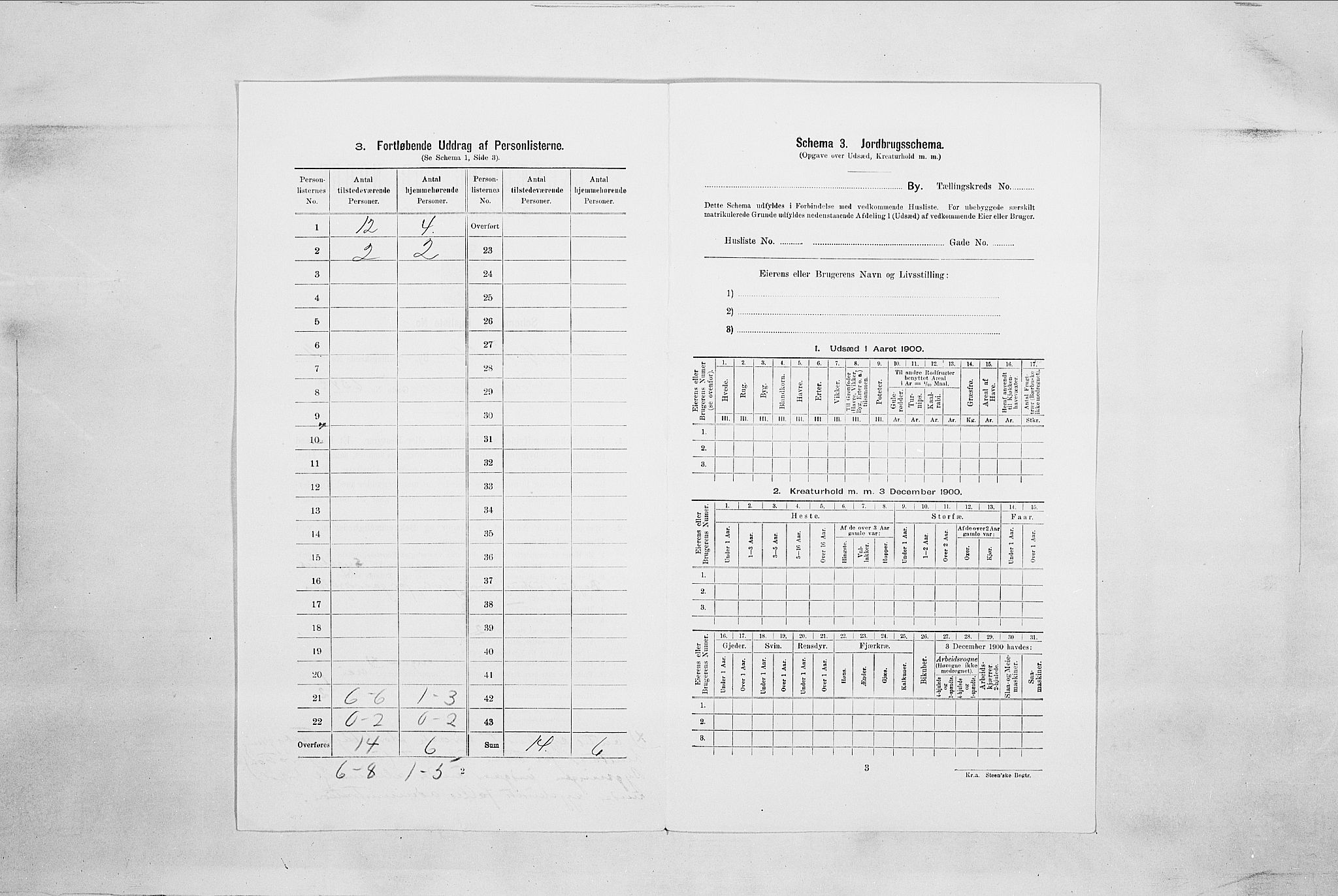 SAO, 1900 census for Fredrikshald, 1900