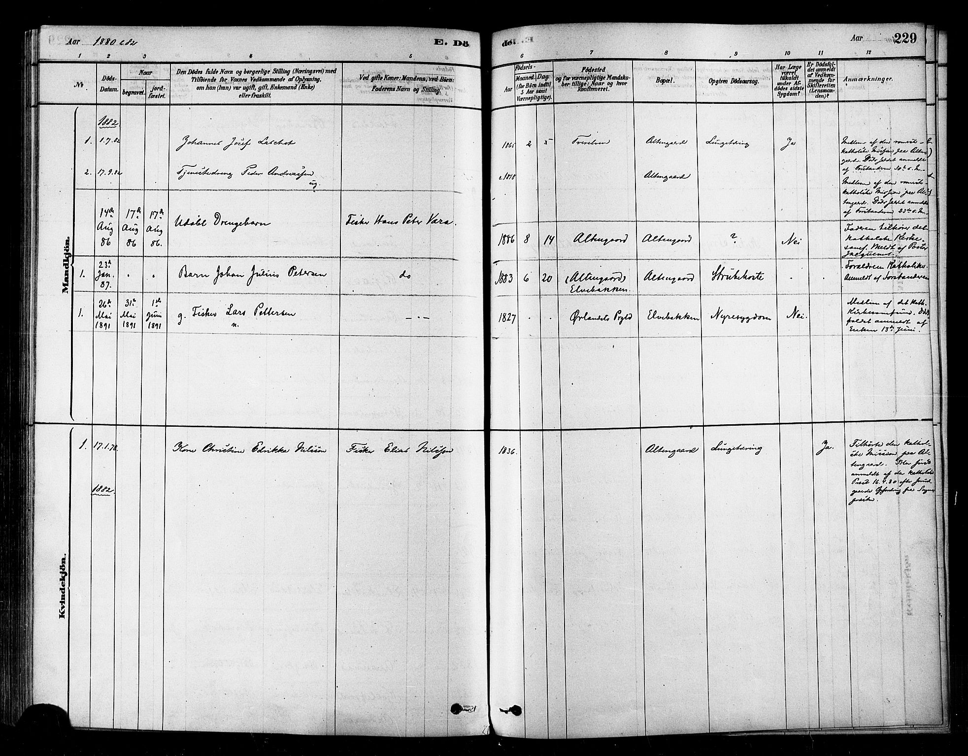 Alta sokneprestkontor, SATØ/S-1338/H/Ha/L0002.kirke: Parish register (official) no. 2, 1879-1892, p. 229